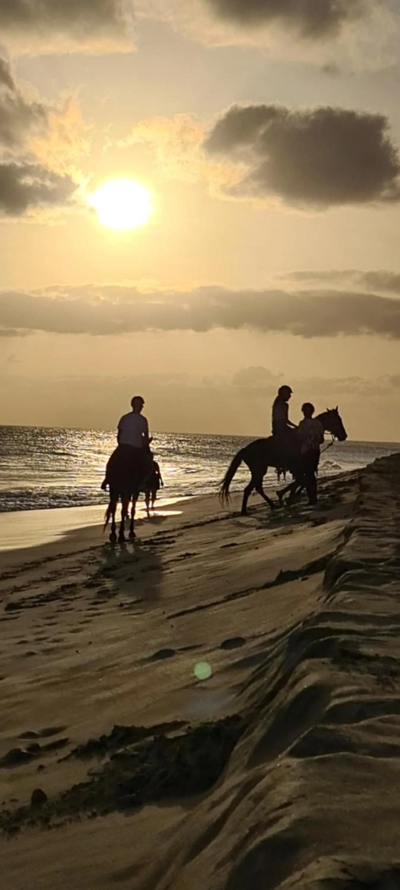 Blue Eagle Guesthouse - Casa de hospedes