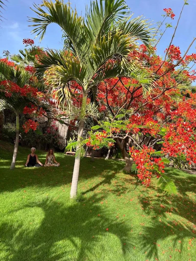 Golfcourse in Blue Eagle Guesthouse - Casa de hospedes