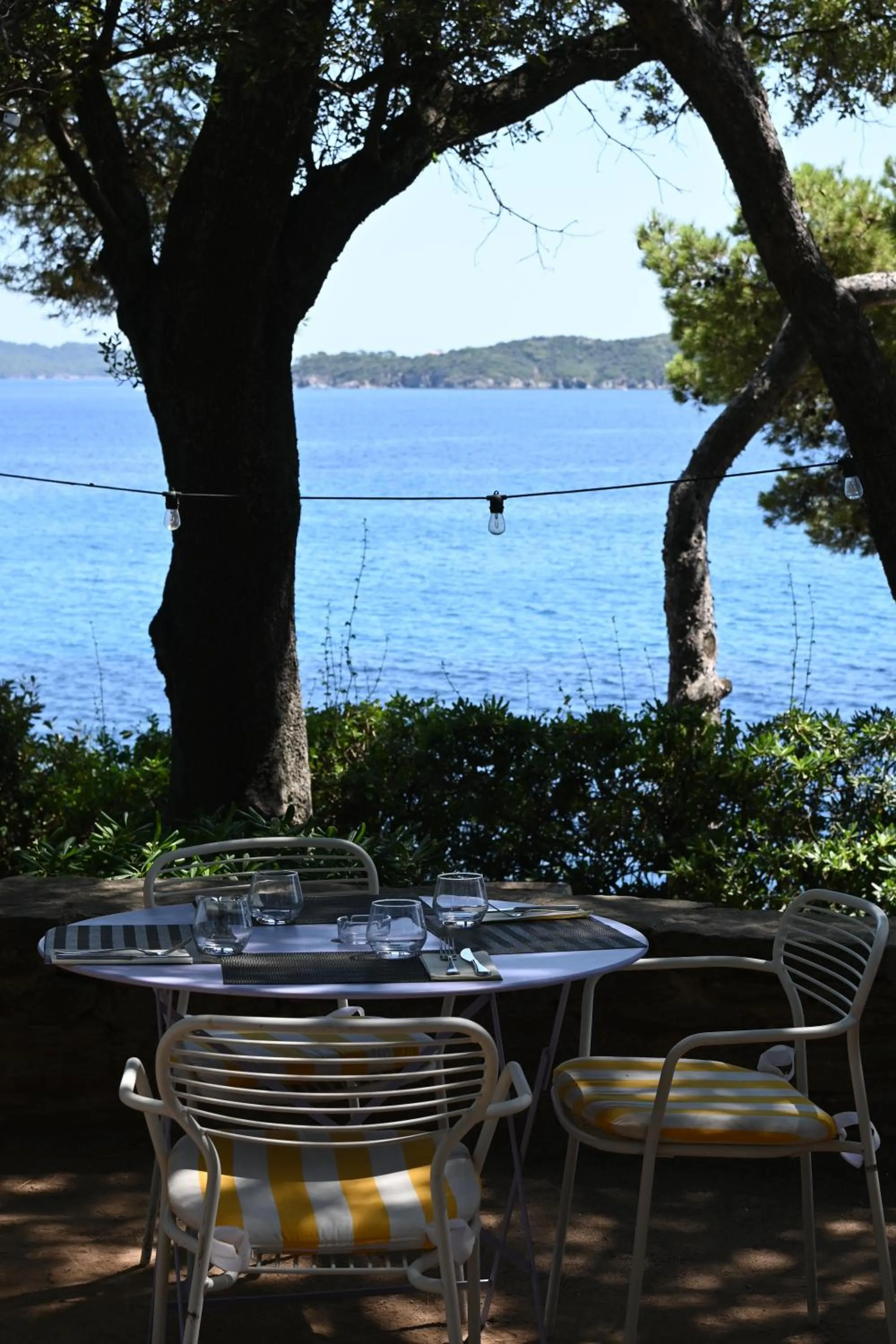 Restaurant/places to eat in Hôtel Le Provençal - Rénové en 2025 - Bord de Mer
