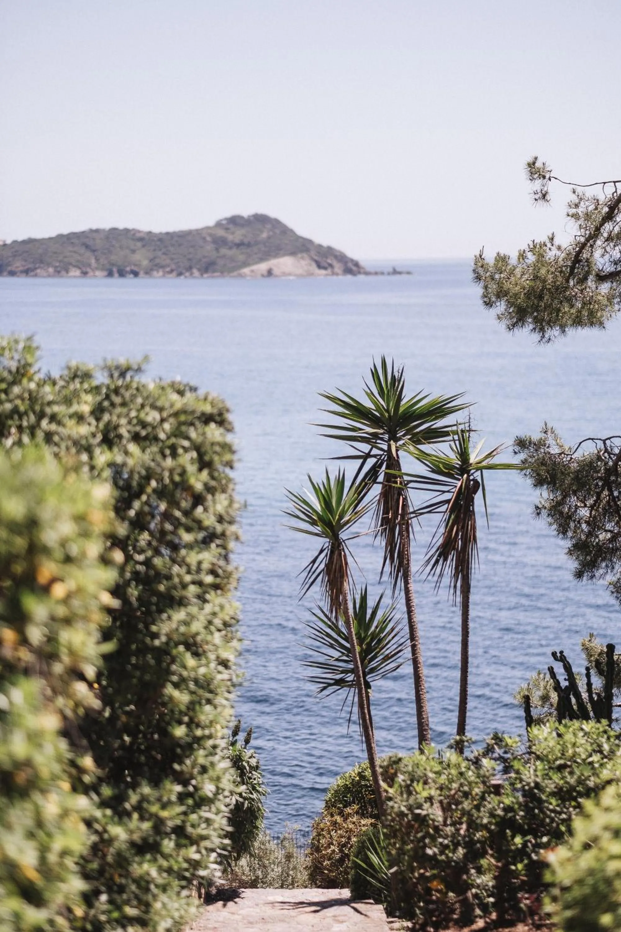 Sea view in Hôtel Le Provençal - Rénové en 2025 - Bord de Mer