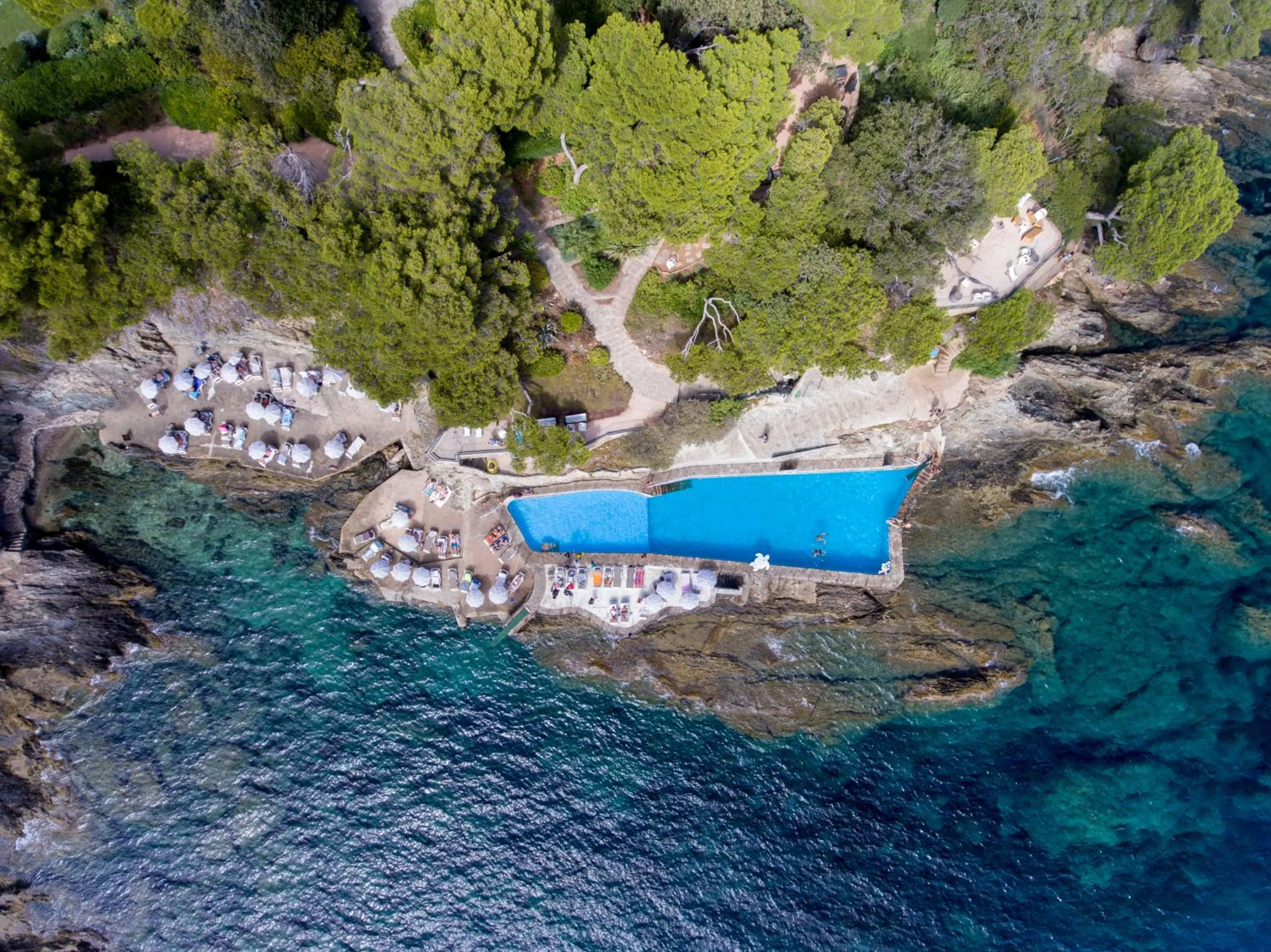 Pool view in Hôtel Le Provençal - Rénové en 2025 - Bord de Mer