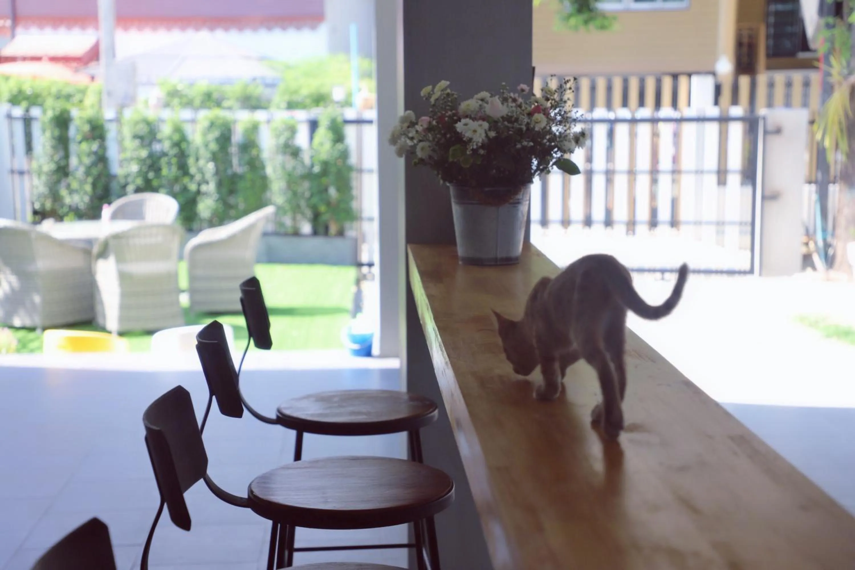 Lobby or reception in Chiangmai Inn Guesthouse