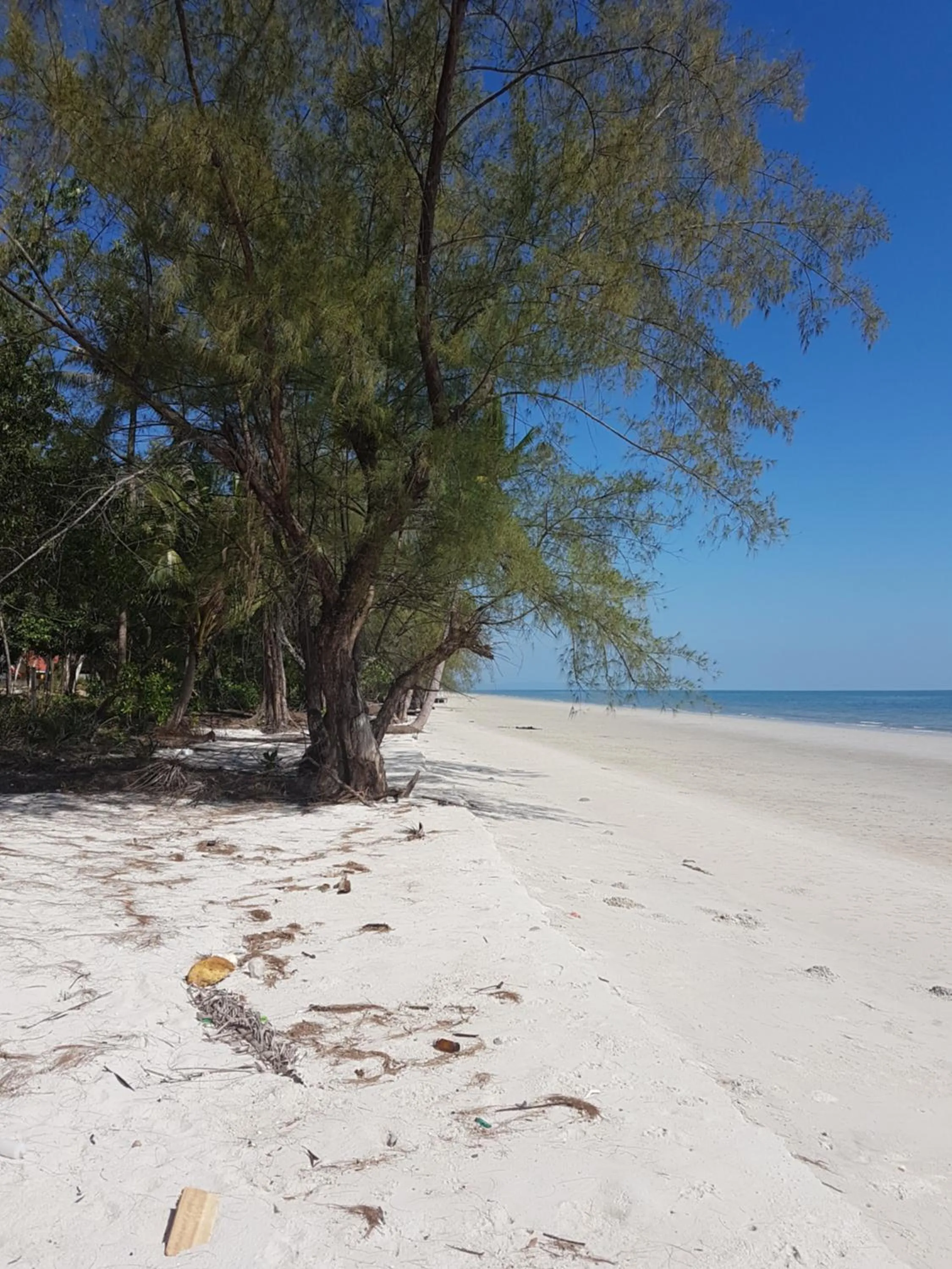 Natural landscape in De VeraNiO Resort
