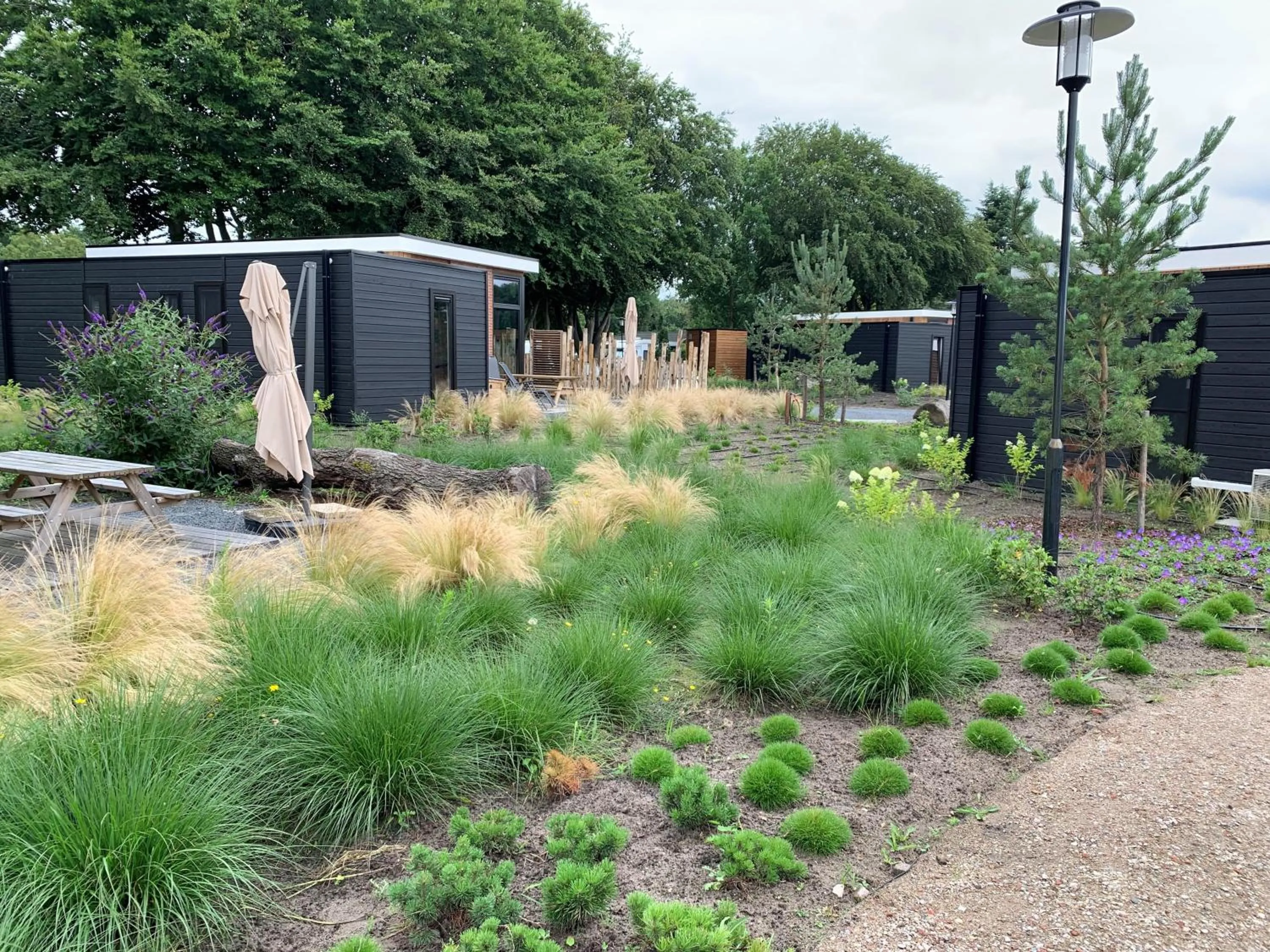Garden view in Duynparc Soest