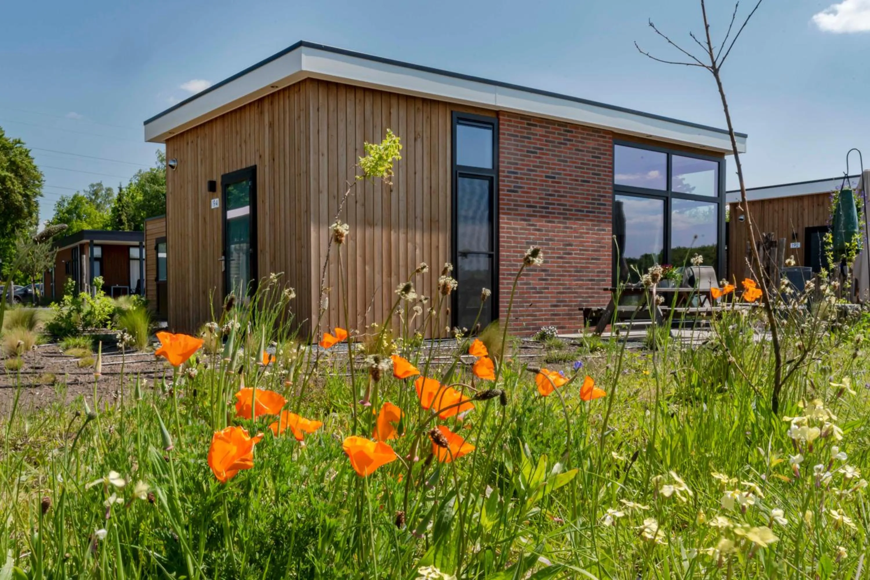 Spring in Duynparc Soest