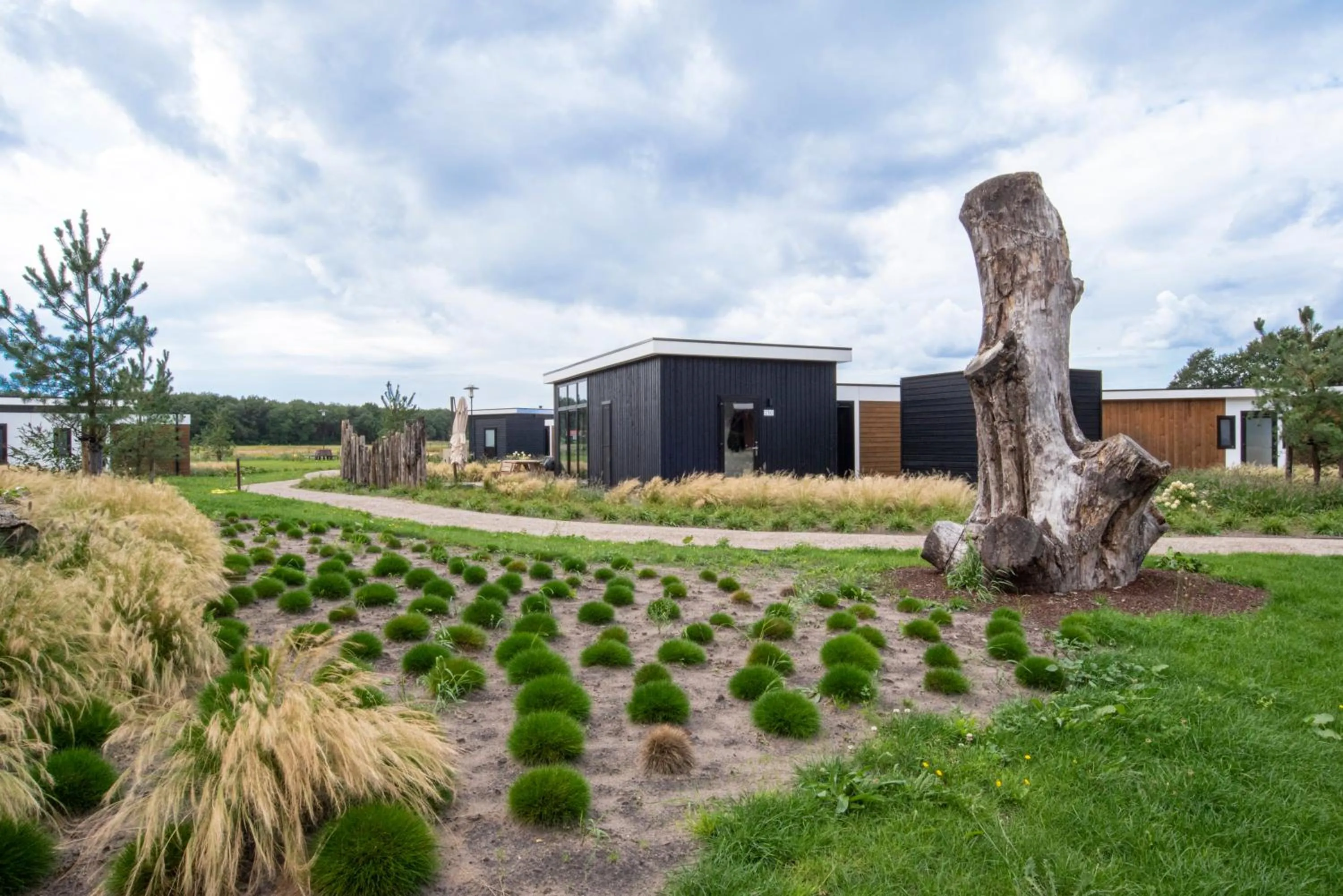 Natural landscape in Duynparc Soest