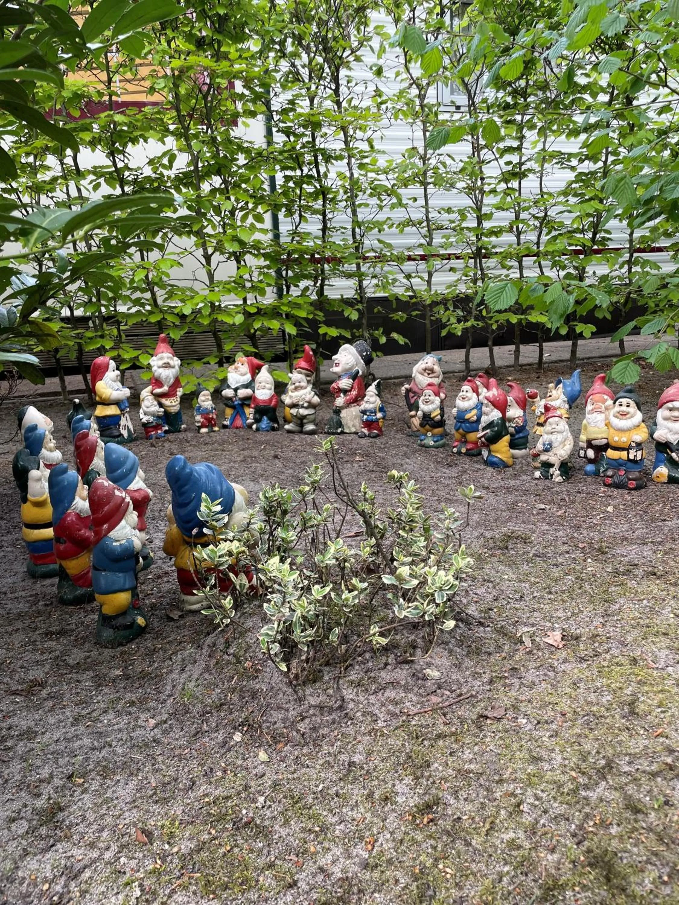 Natural landscape in Duynparc Soest