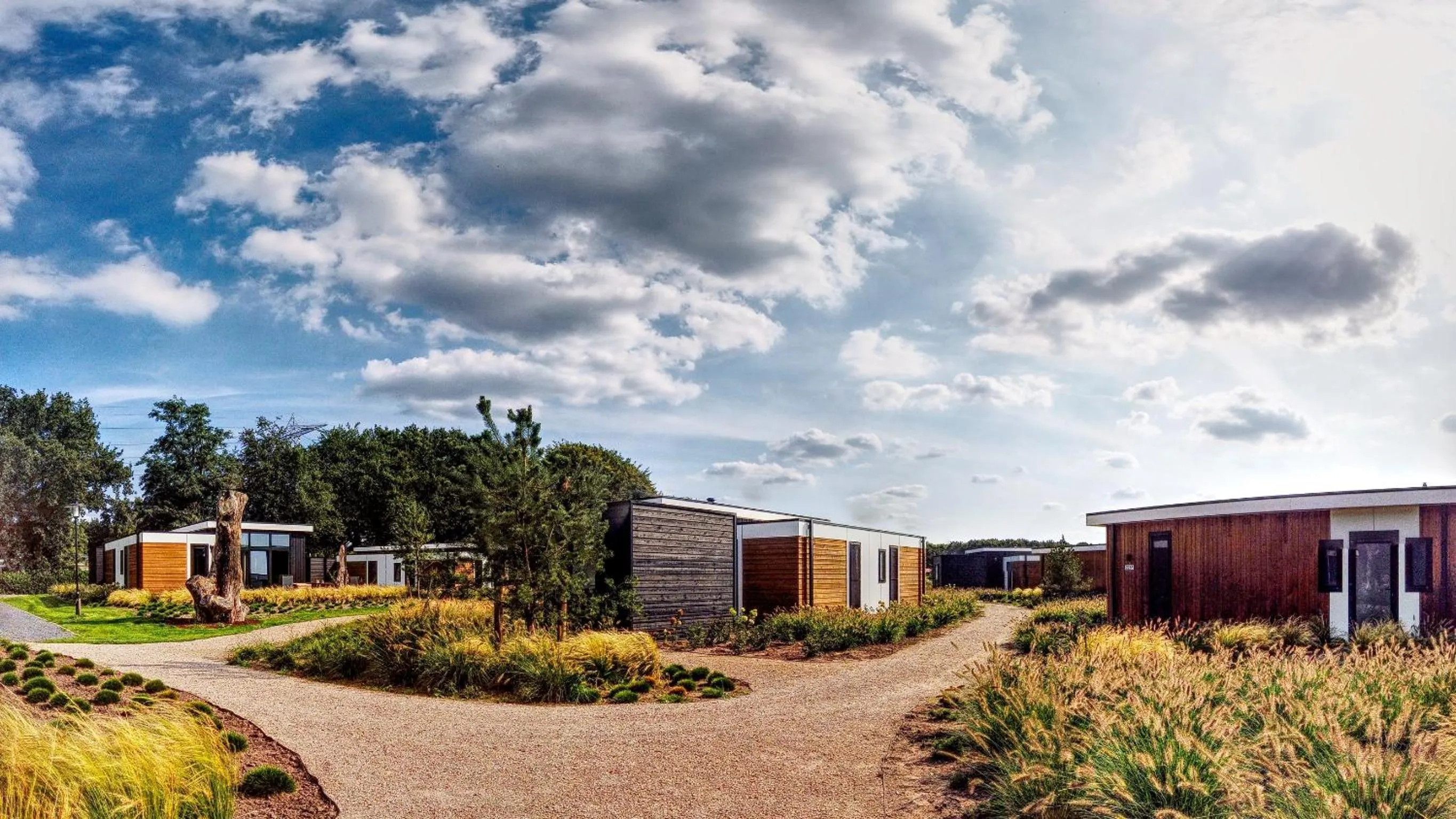 Natural landscape in Duynparc Soest