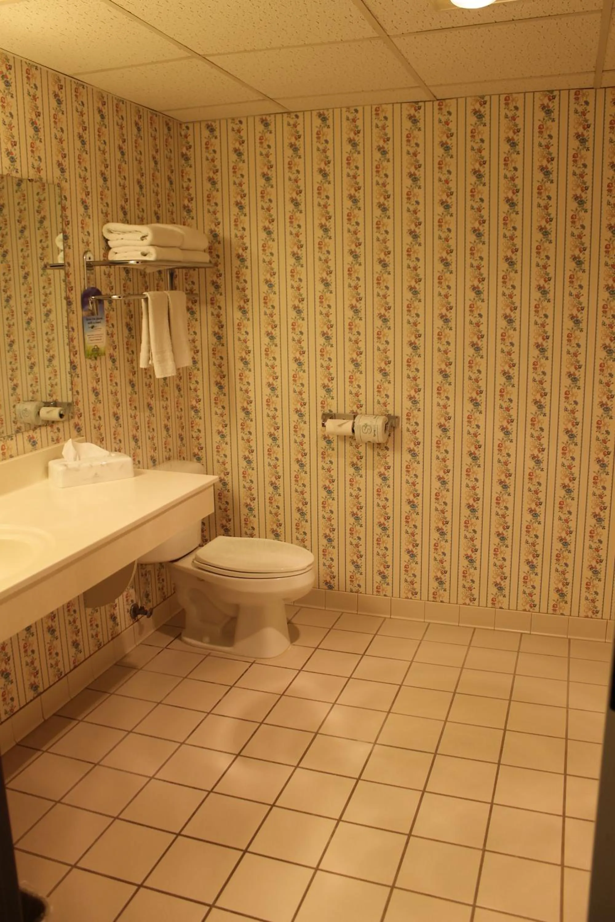 Toilet in Days Inn by Wyndham Grayling