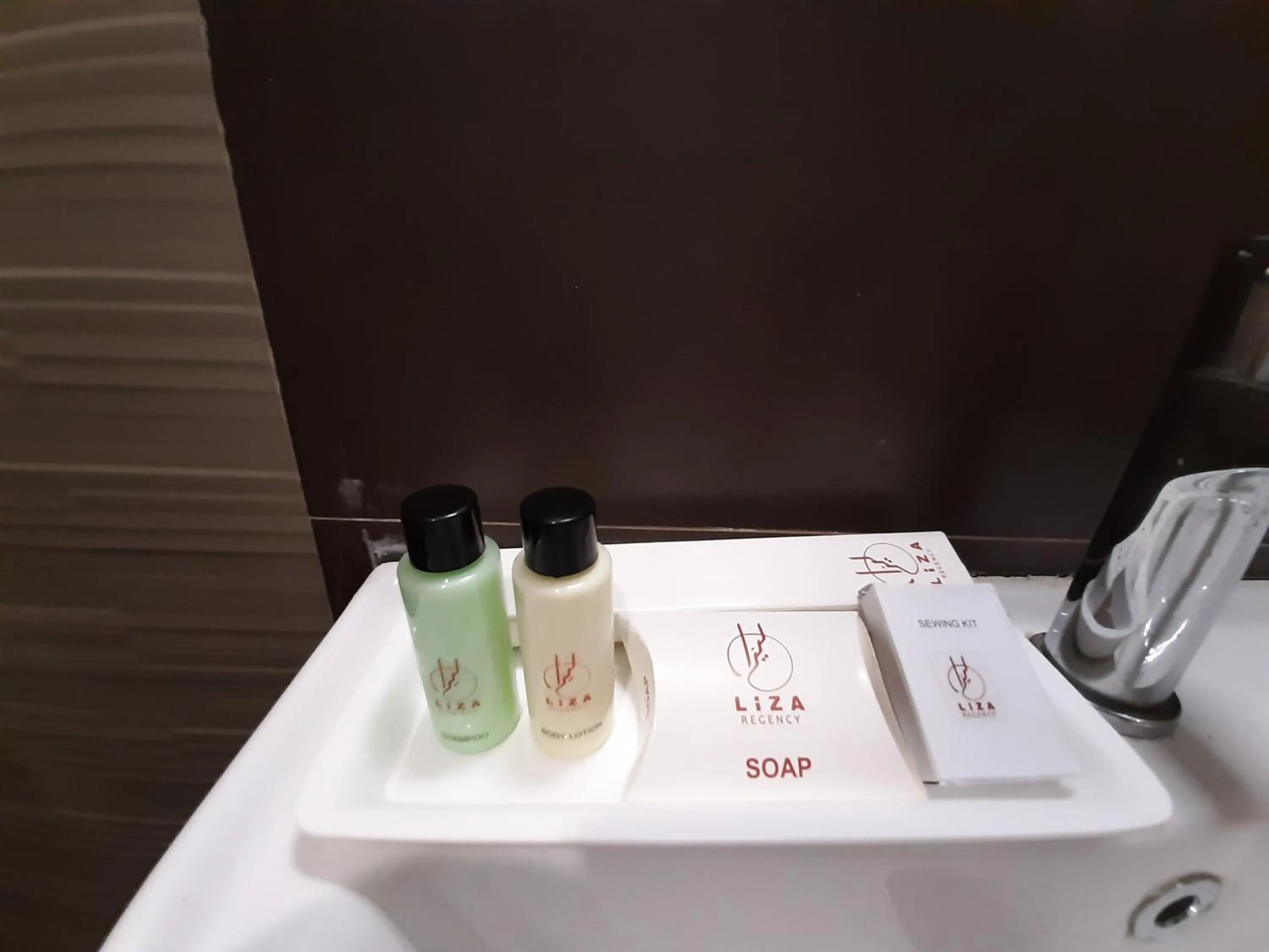 Area and facilities in Liza Regency