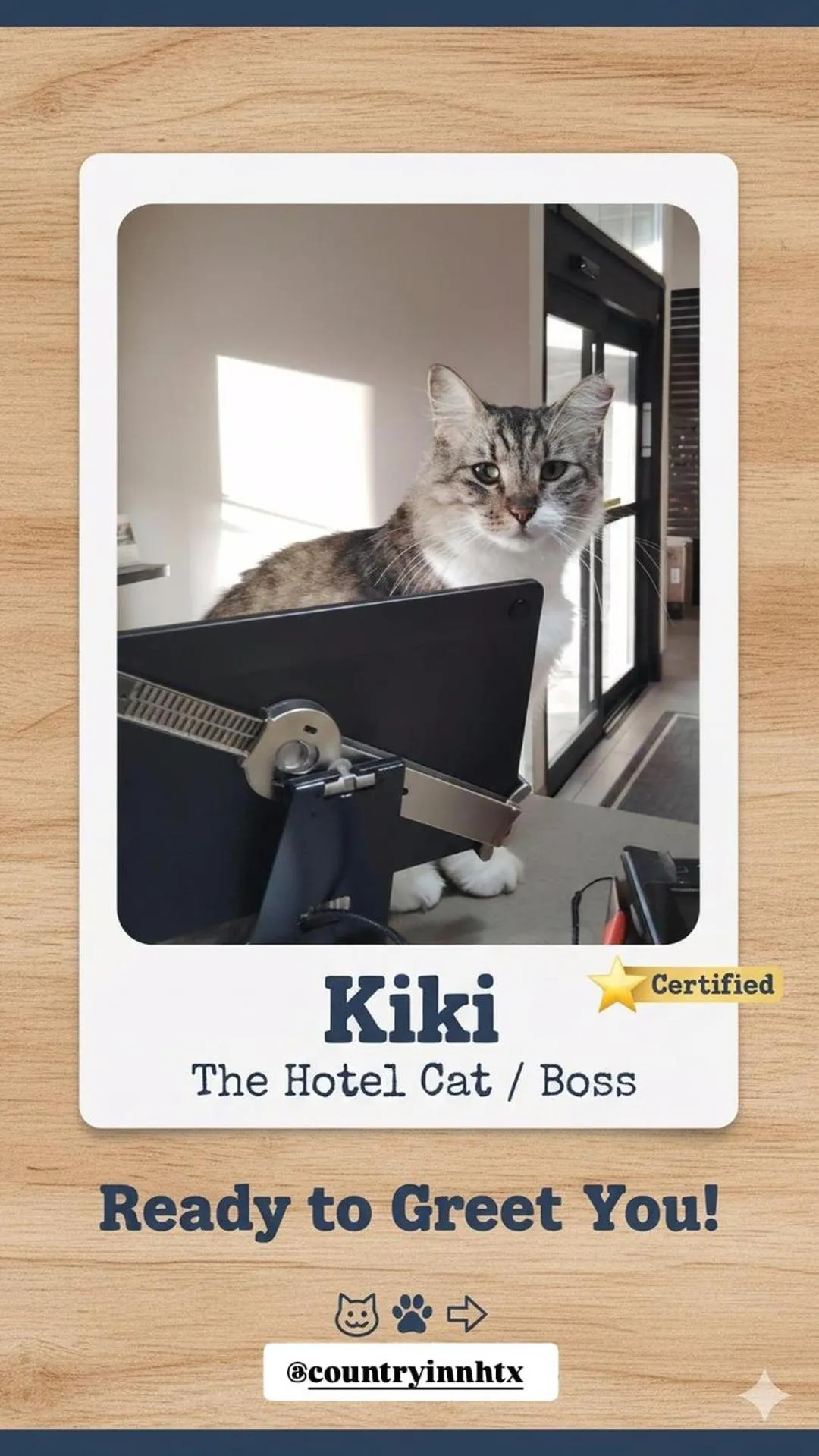 Bed in Country Inn & Suites by Radisson, Harlingen, TX