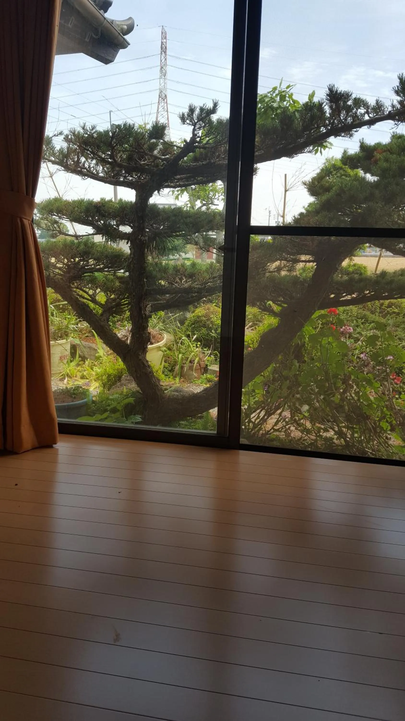 Guest House Nakamura House