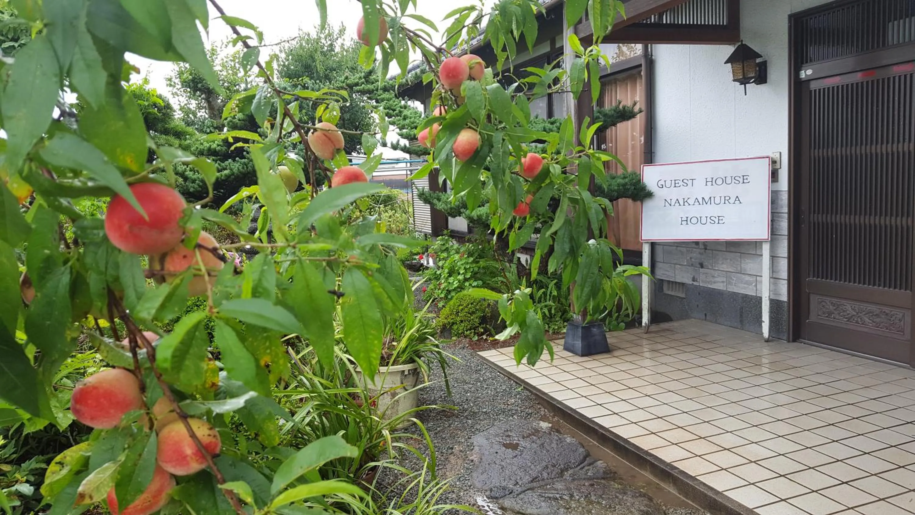 Garden in Guest House Nakamura House