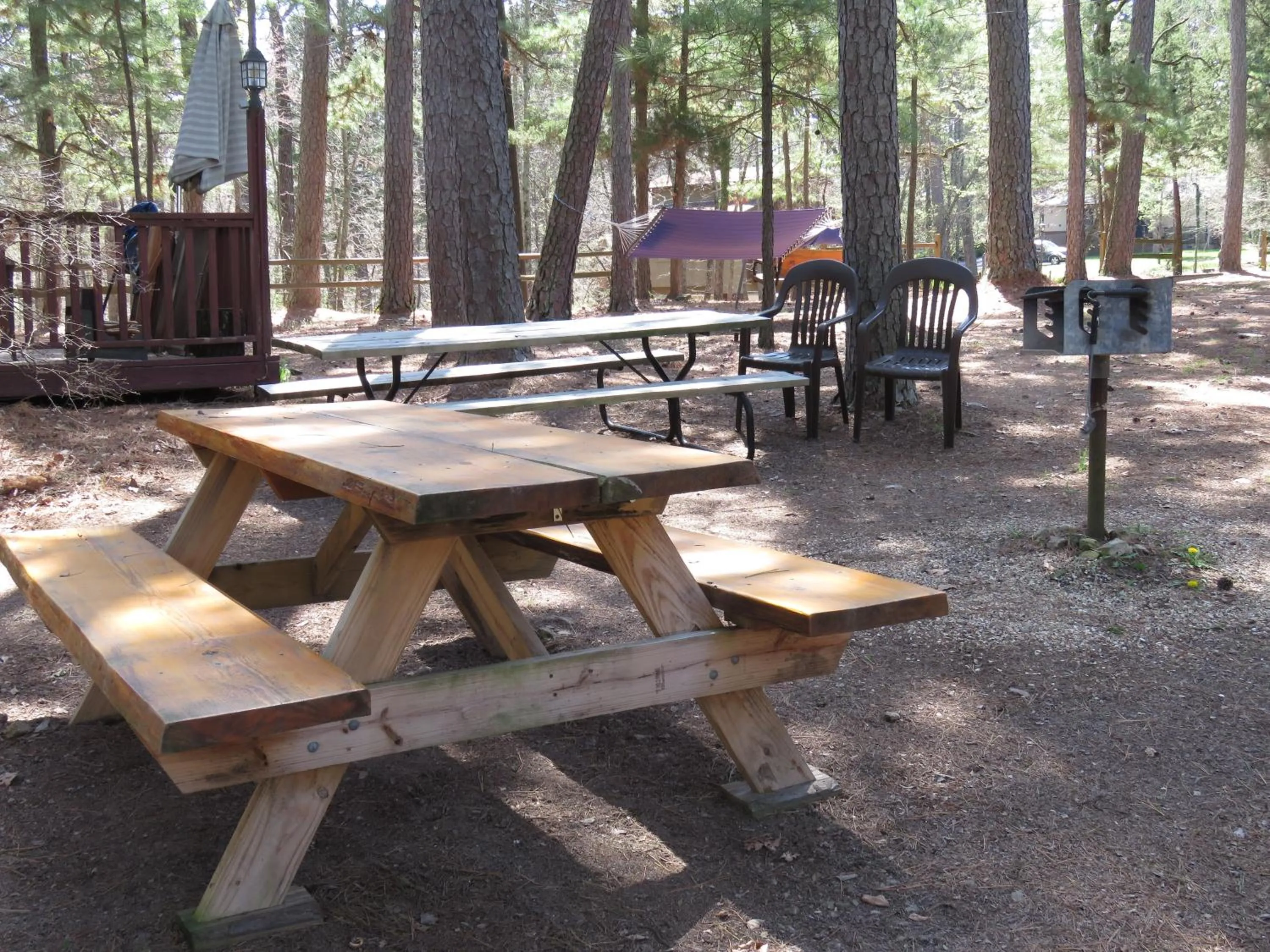 Other in Tall Pines Inn