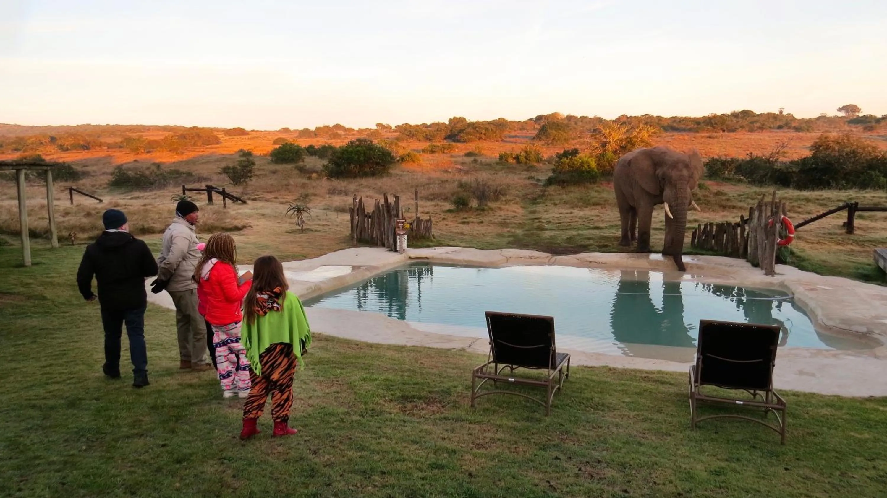 People in Hlosi Game Lodge - Amakhala Game Reserve