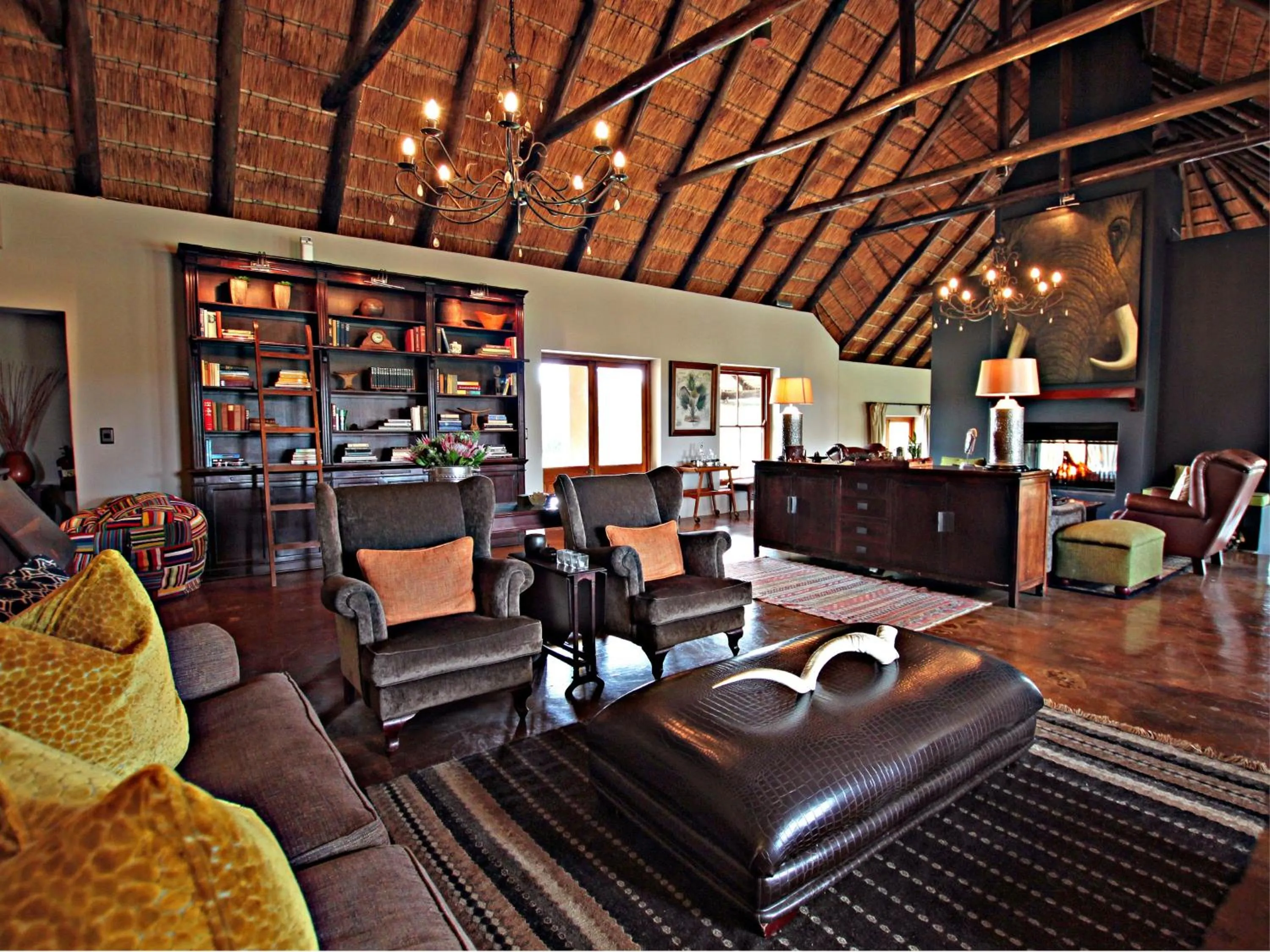 Library in Hlosi Game Lodge - Amakhala Game Reserve