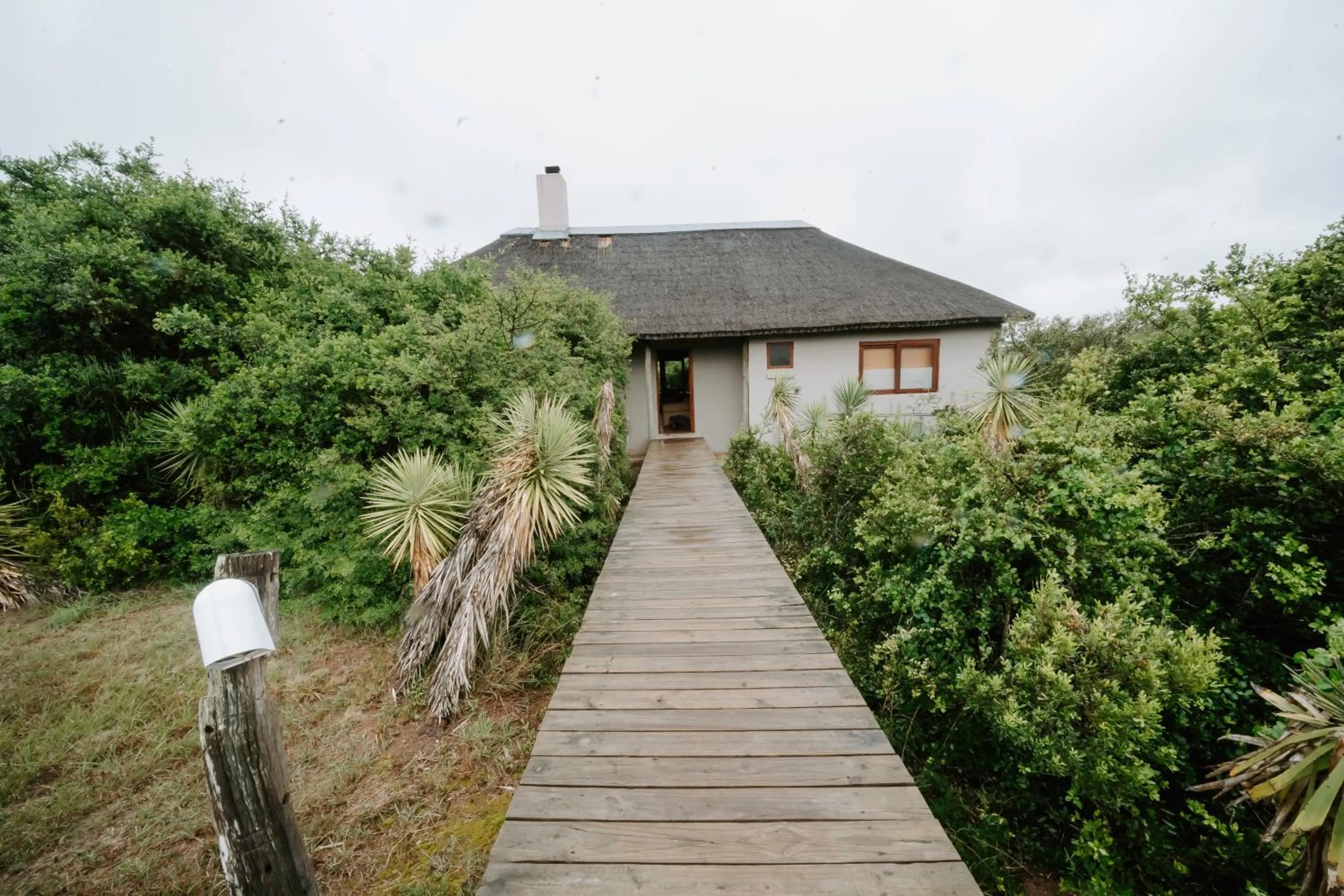 Property building in Hlosi Game Lodge - Amakhala Game Reserve