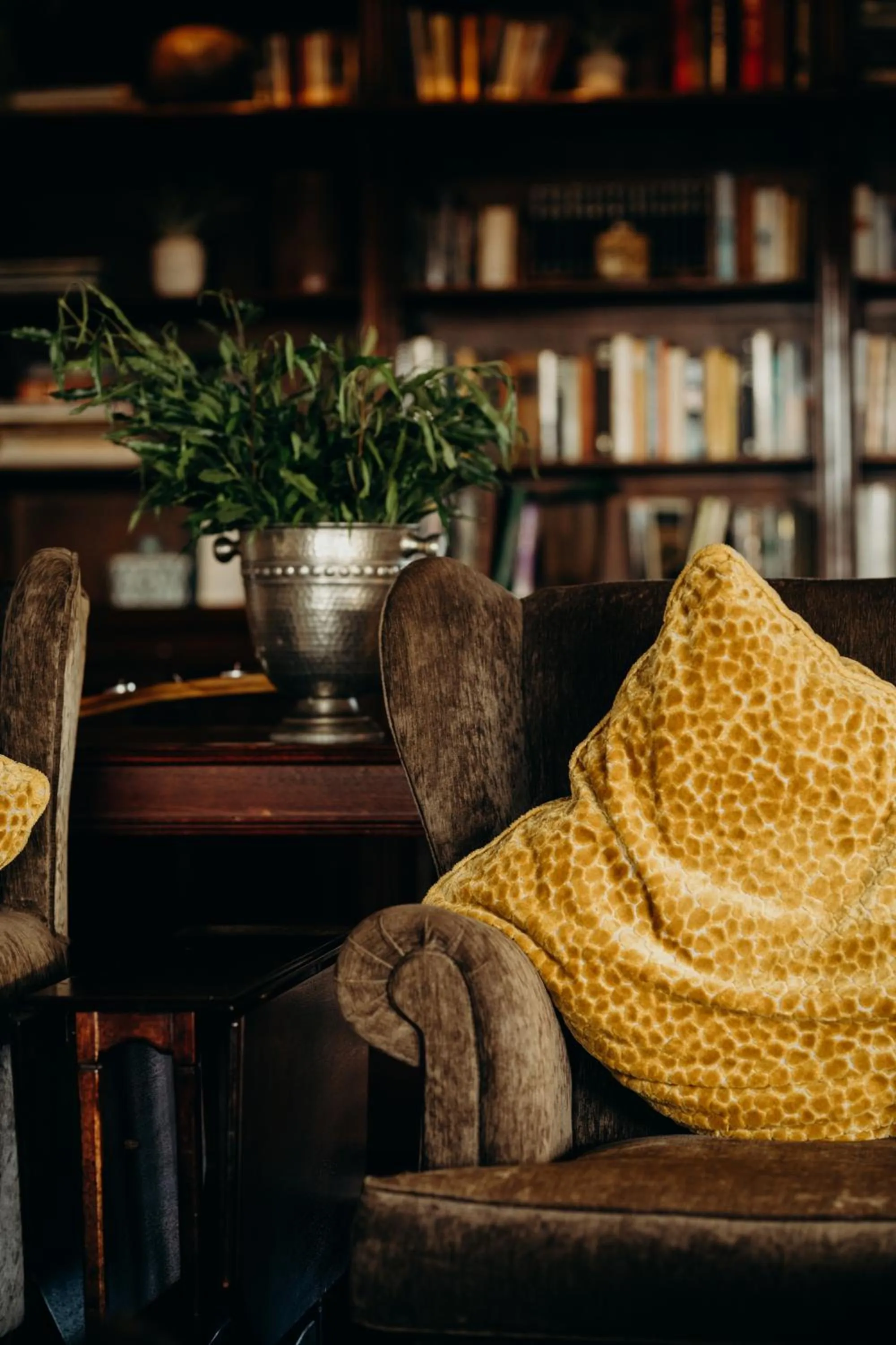 Library in Hlosi Game Lodge - Amakhala Game Reserve