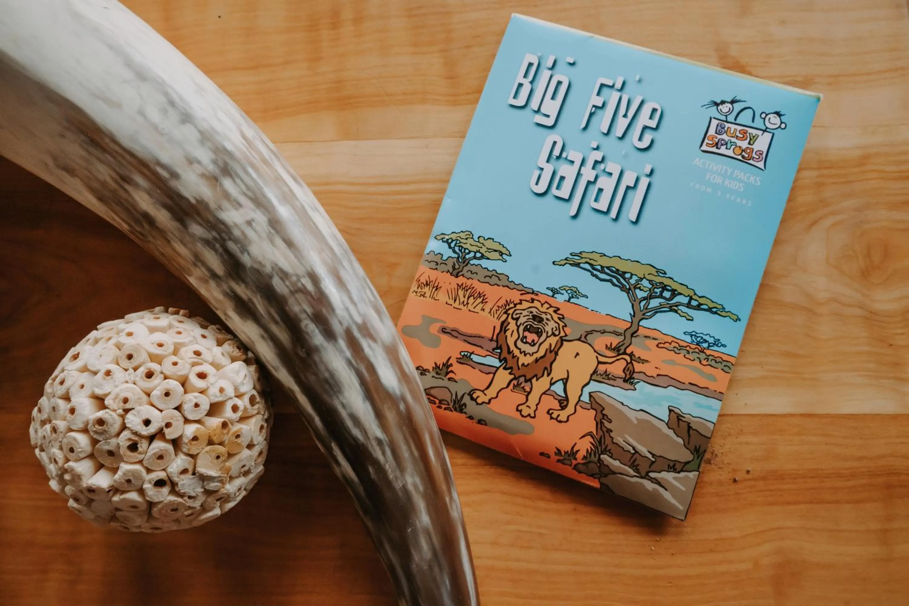 Kids's club in Hlosi Game Lodge - Amakhala Game Reserve