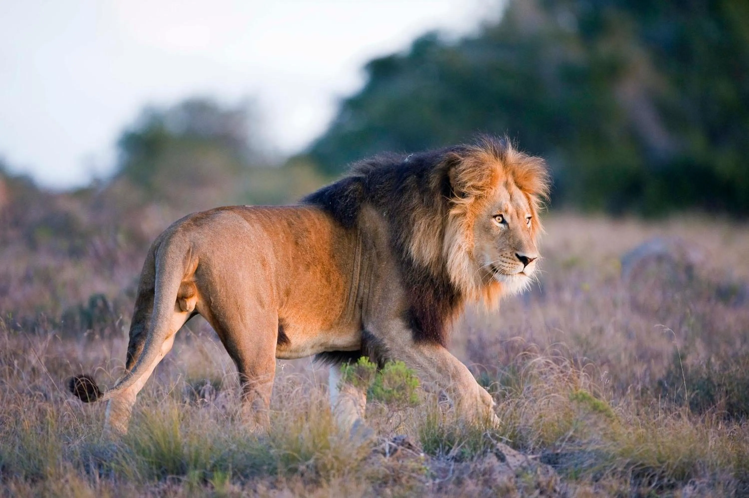 Other in Hlosi Game Lodge - Amakhala Game Reserve