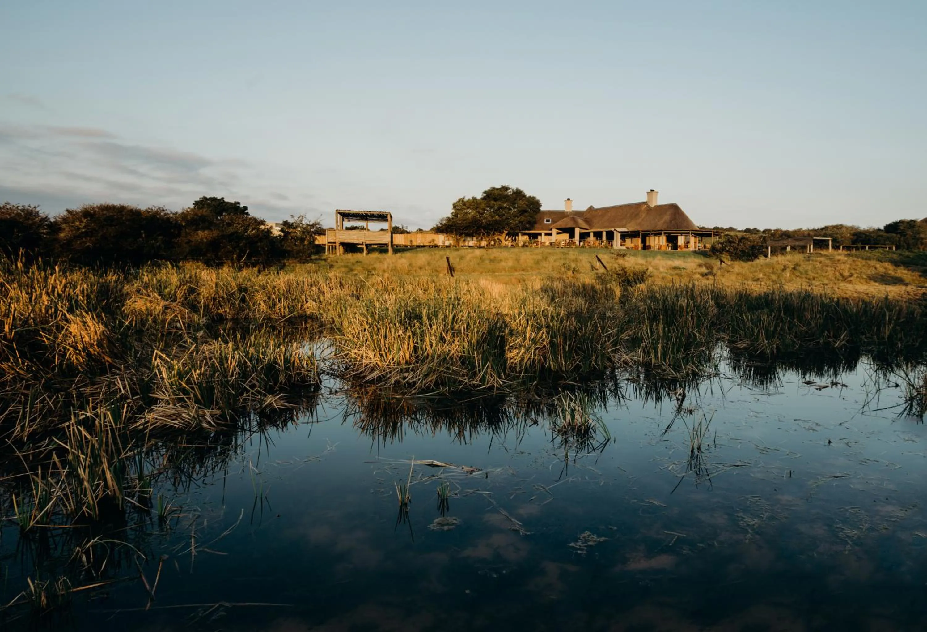 Natural landscape in Hlosi Game Lodge - Amakhala Game Reserve