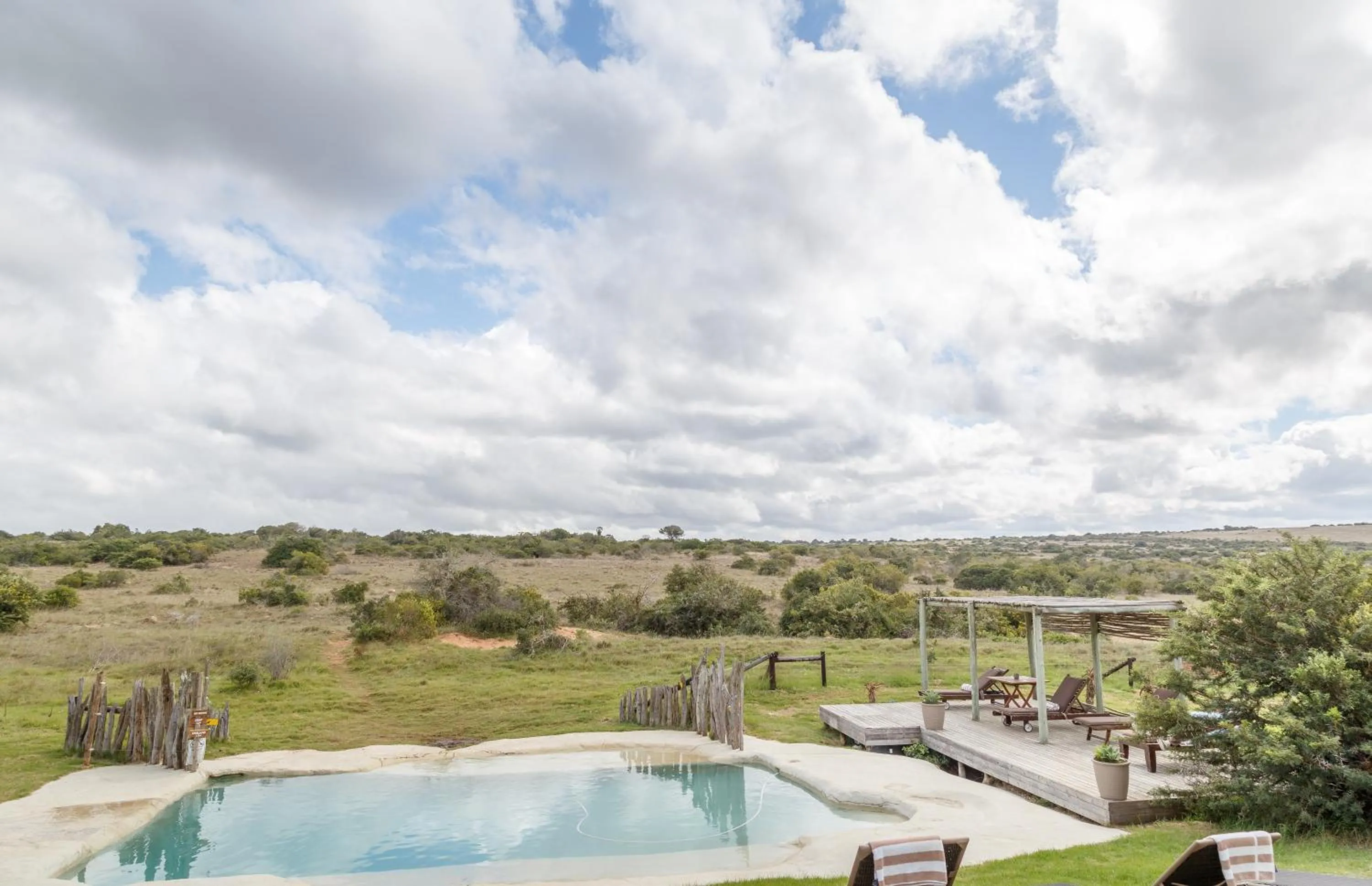 Pool view in Hlosi Game Lodge - Amakhala Game Reserve