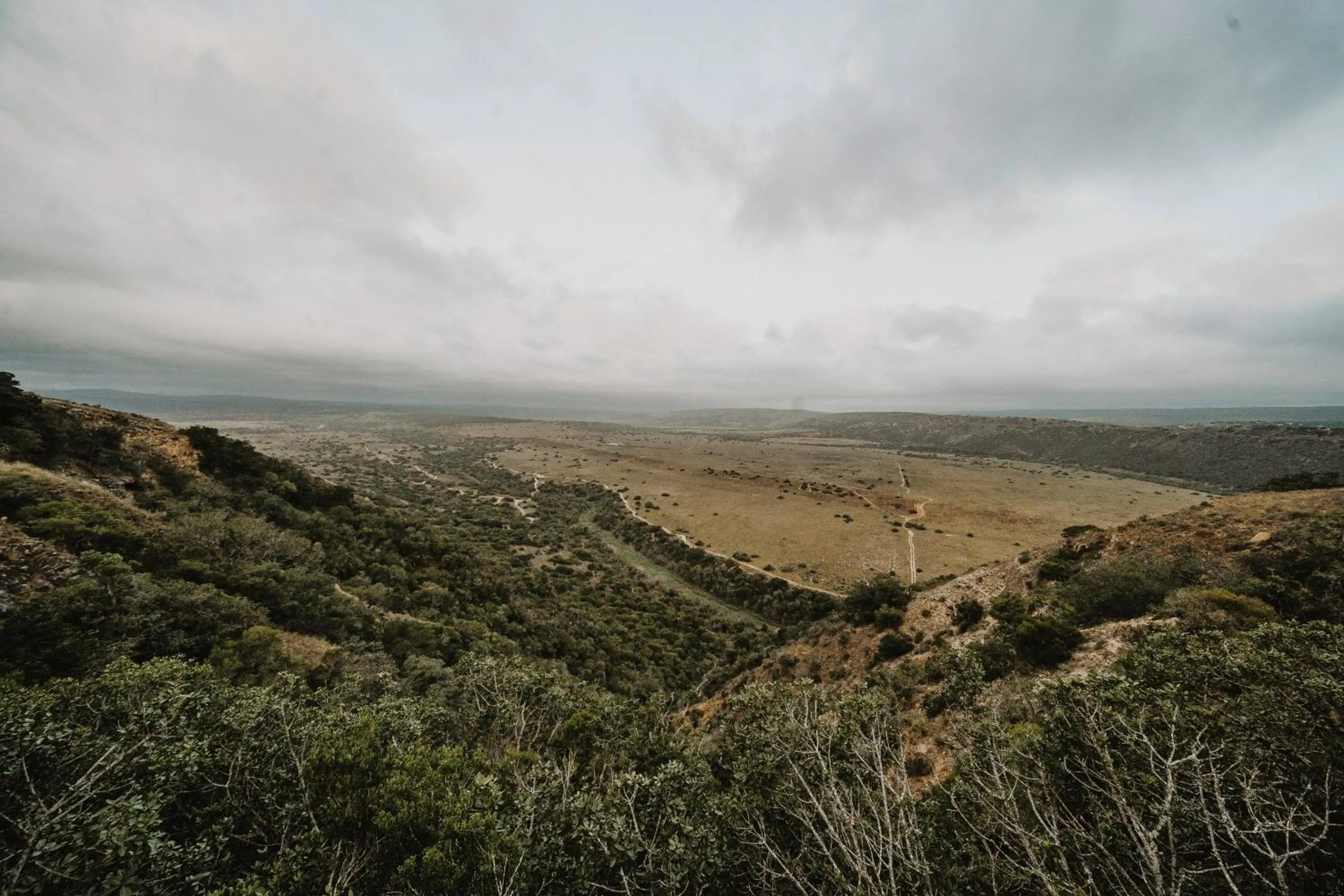 Natural landscape in Hlosi Game Lodge - Amakhala Game Reserve