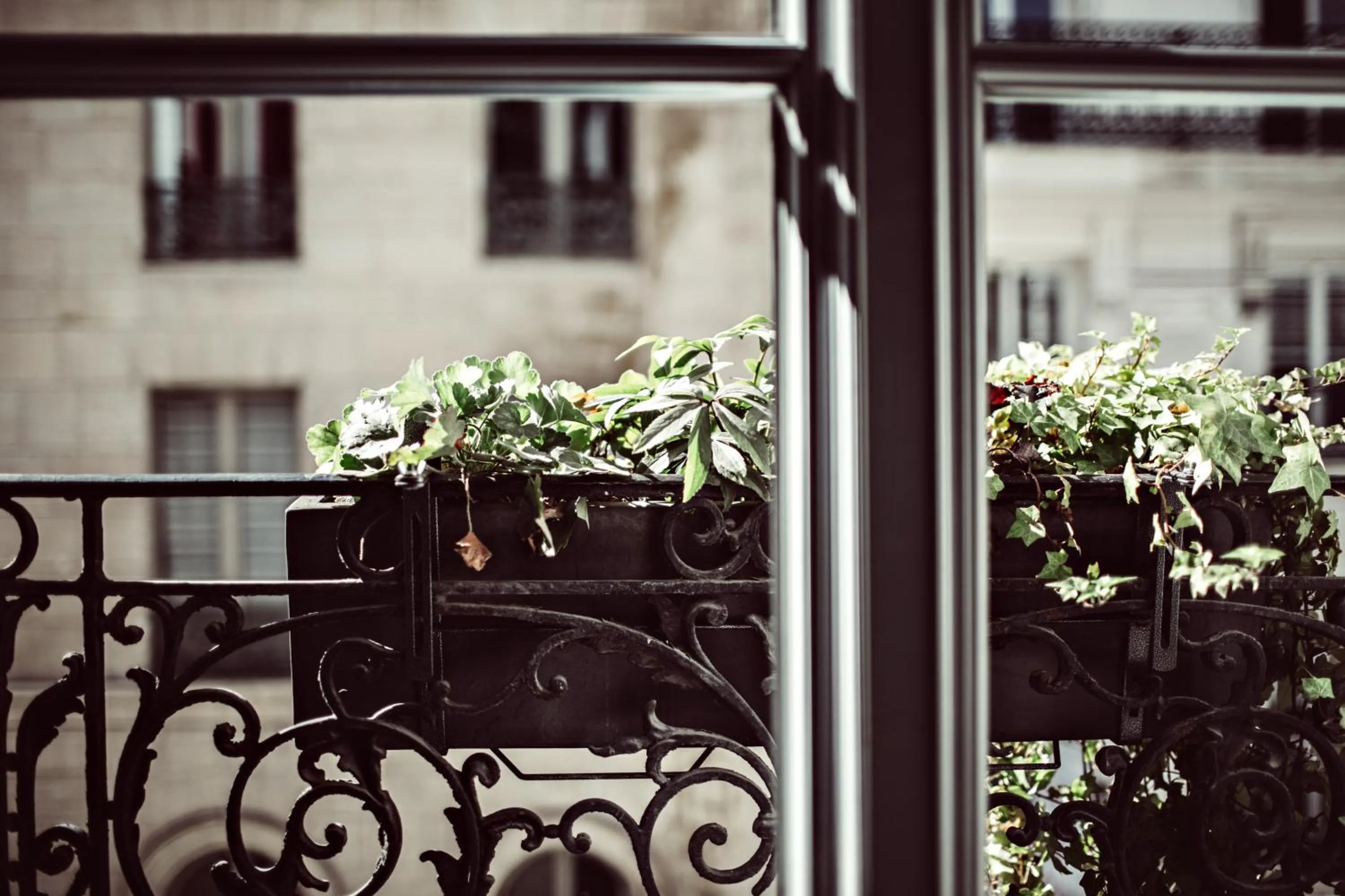 Balcony/Terrace in Hotel Monsieur Helder