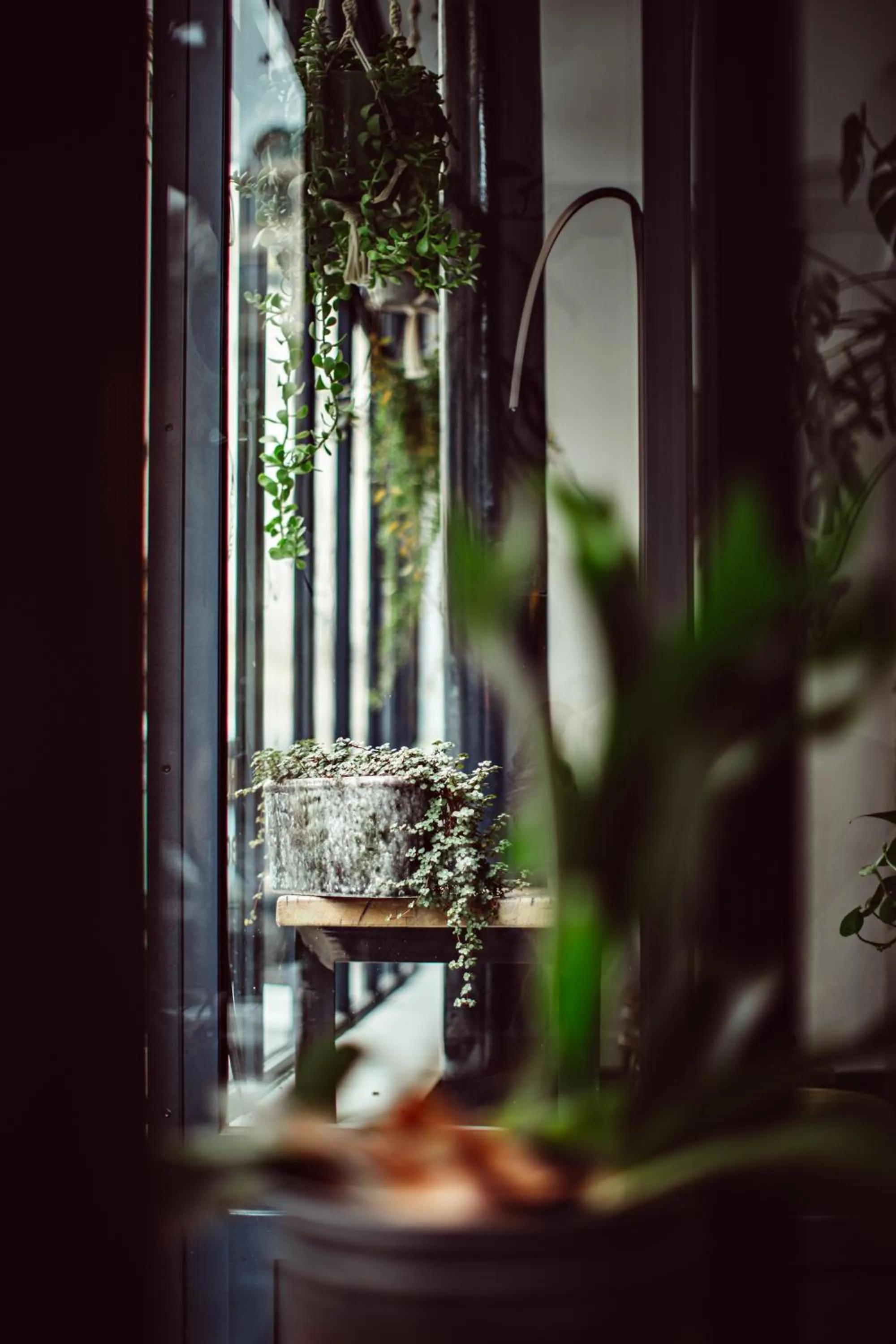 Decorative detail in Hotel Monsieur Helder