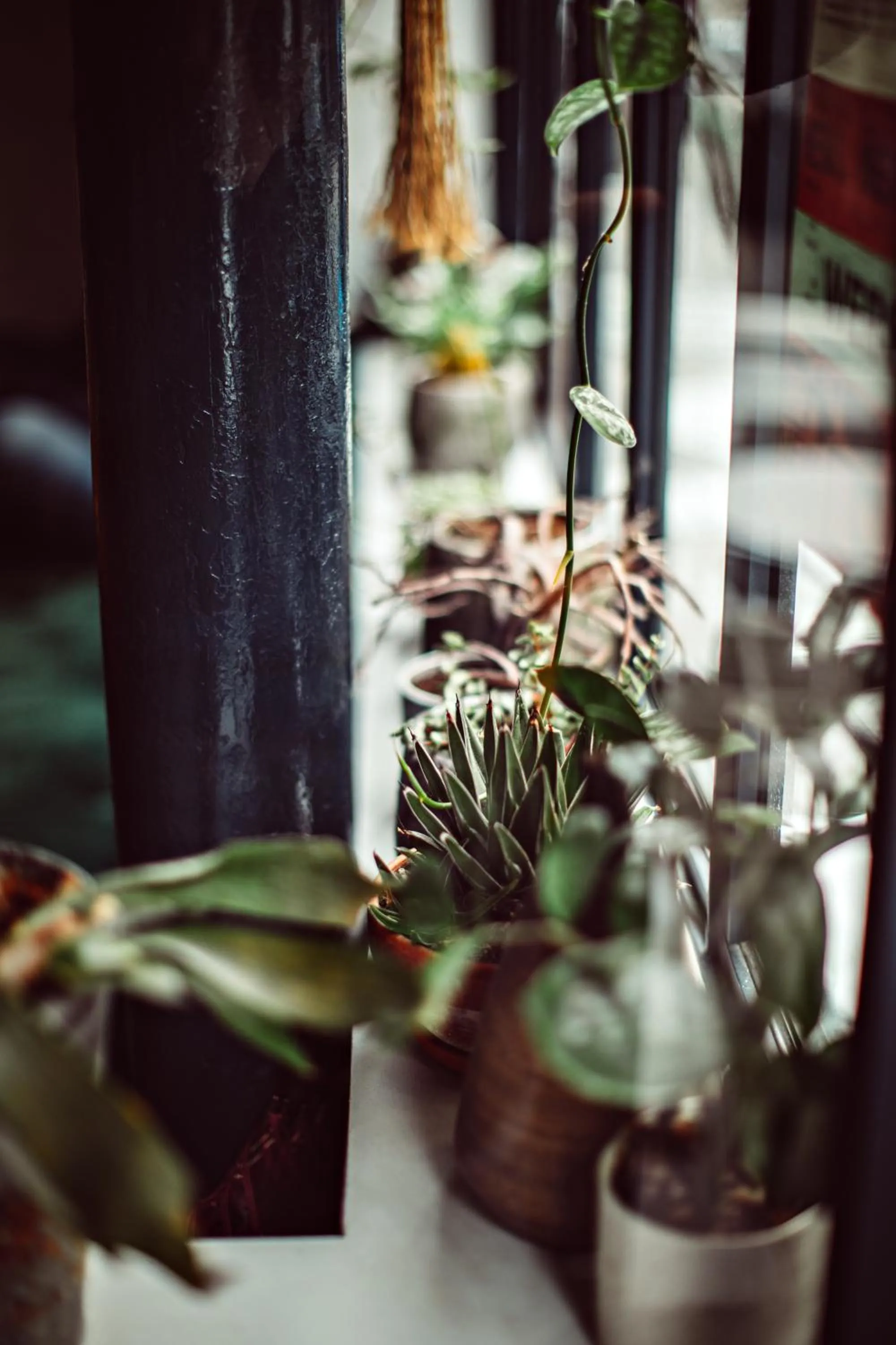 Decorative detail in Hotel Monsieur Helder