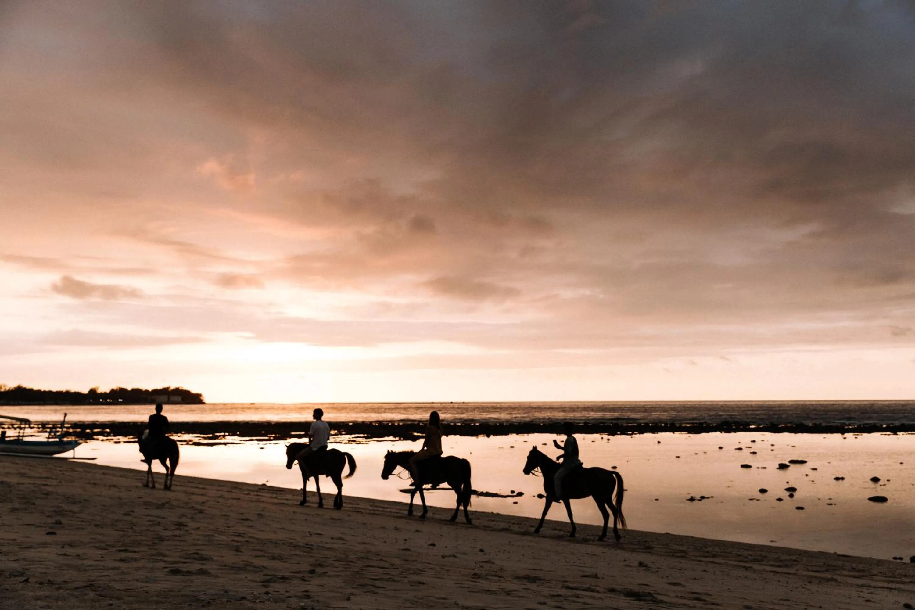 Animals in Meno House - Boutique Adults Only Resort