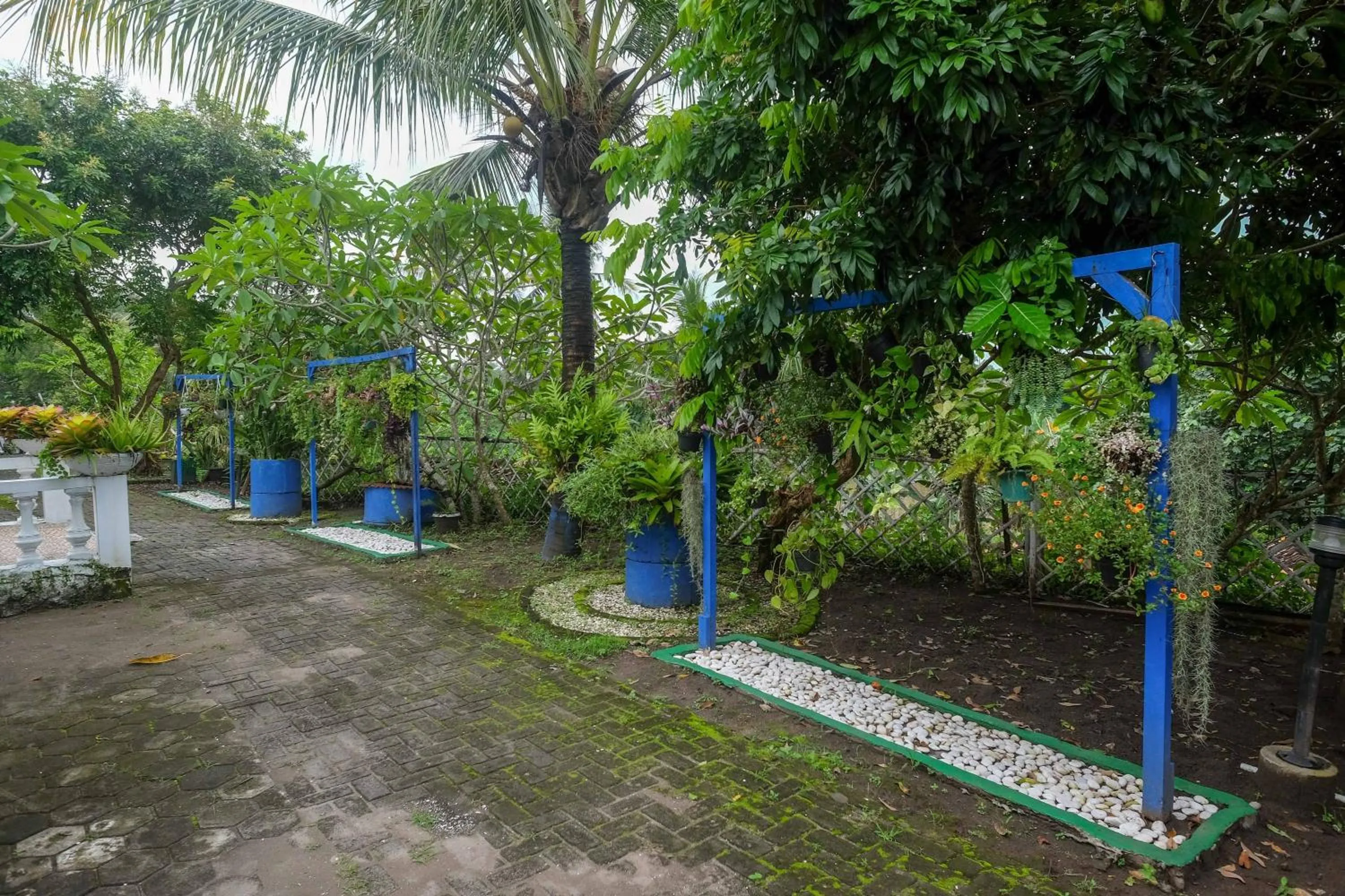 Garden in RedDoorz at Paris Ocean