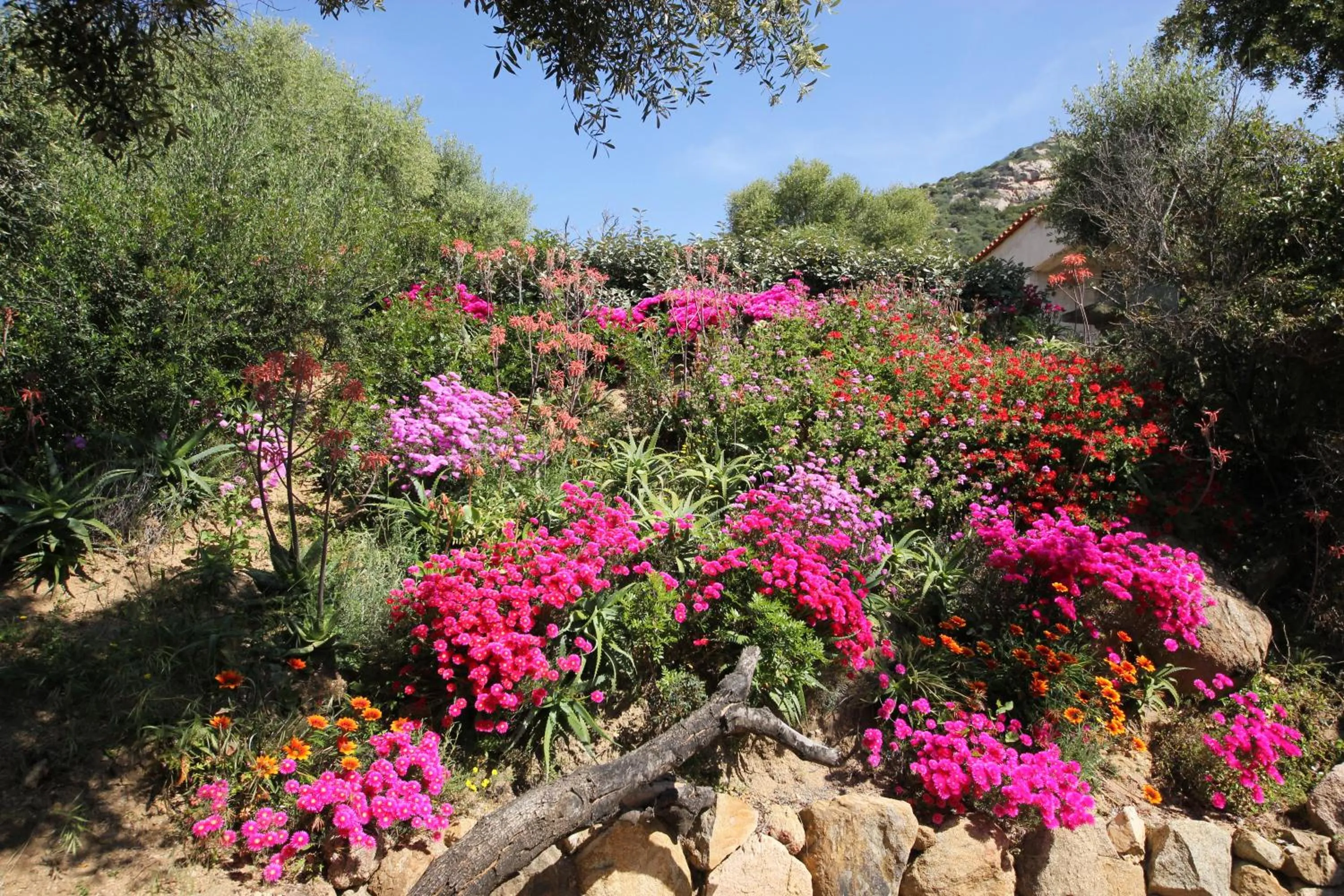 Garden in Résidence Arco Plage