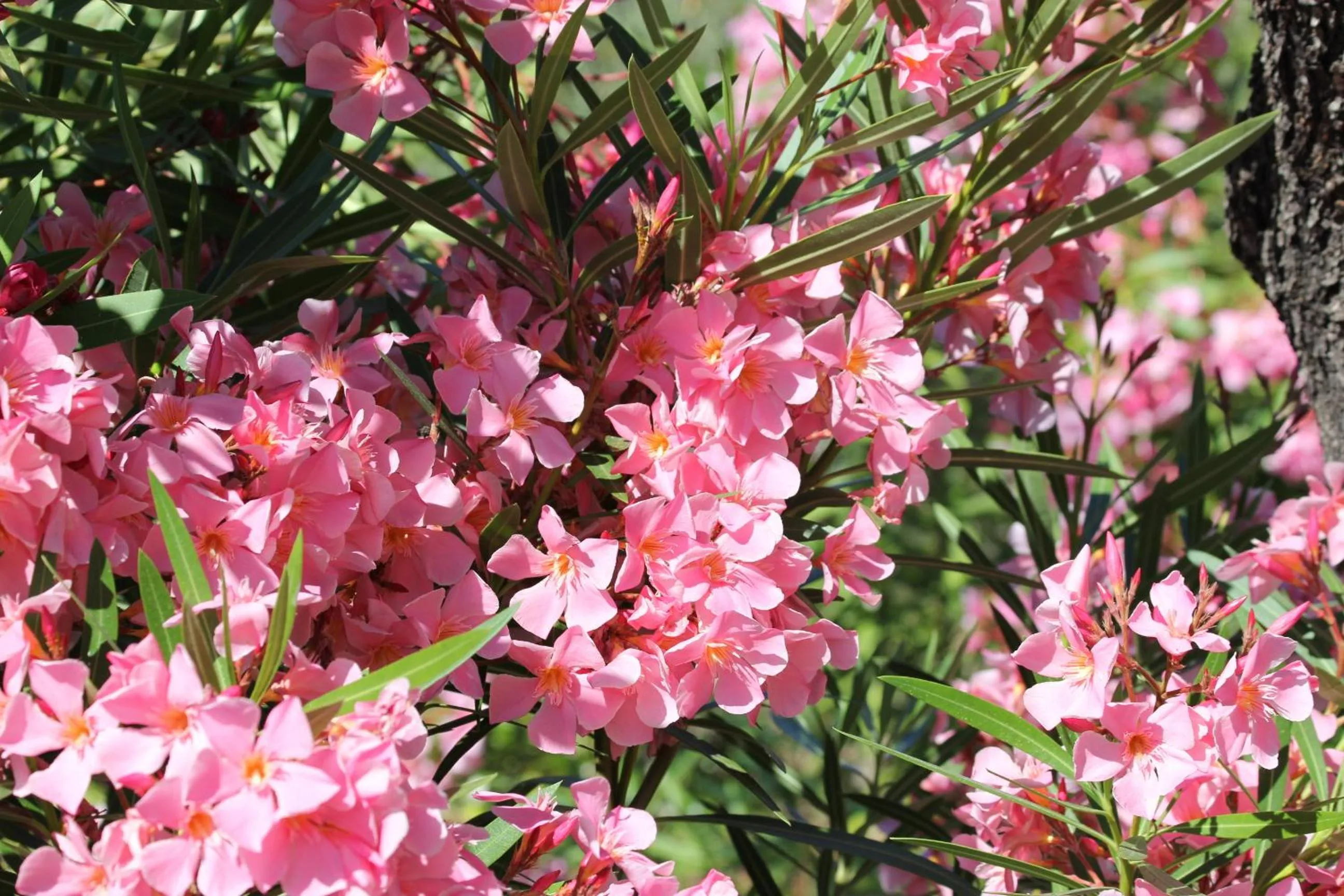 Other in Résidence Arco Plage