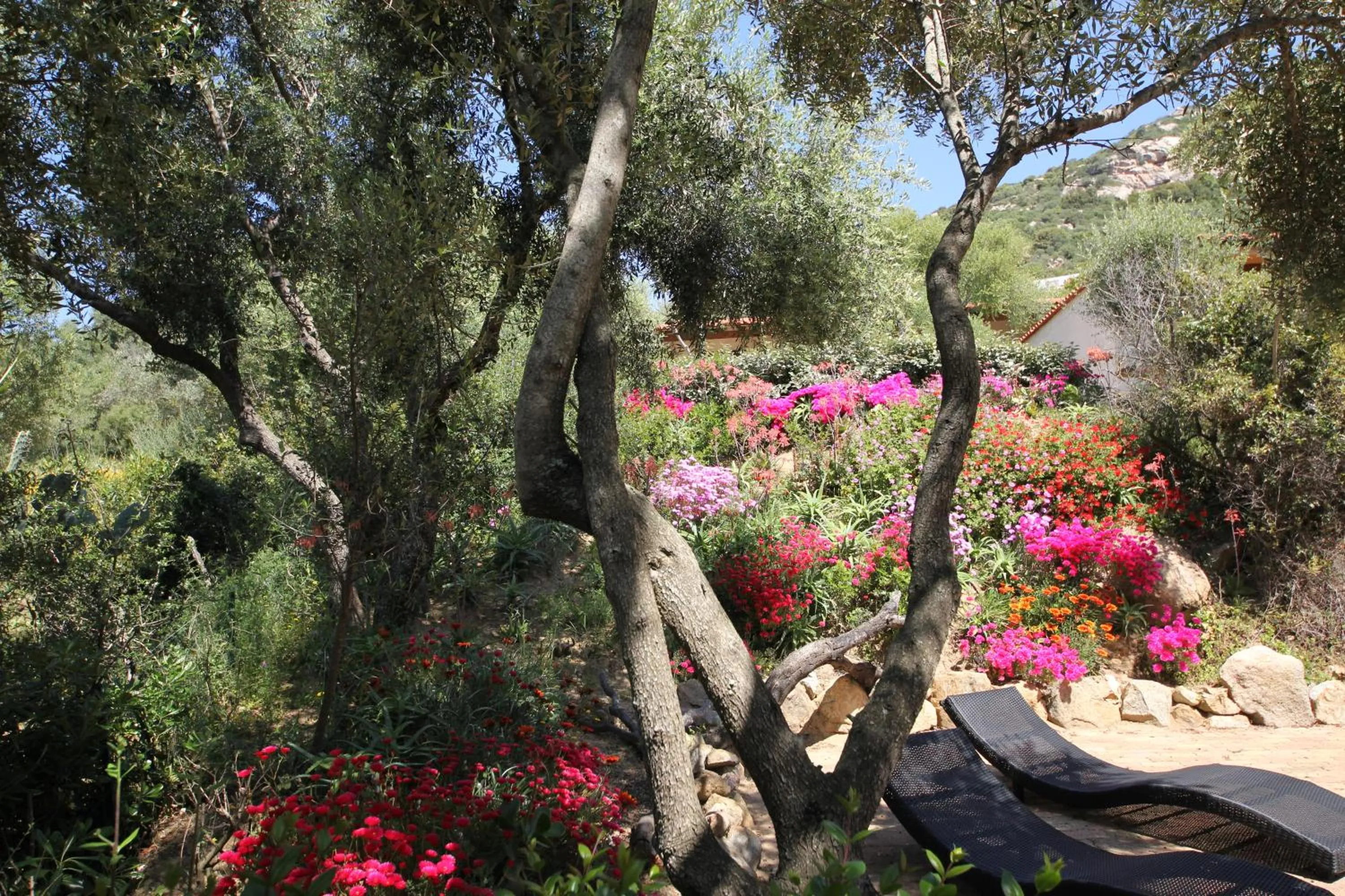 Garden in Résidence Arco Plage