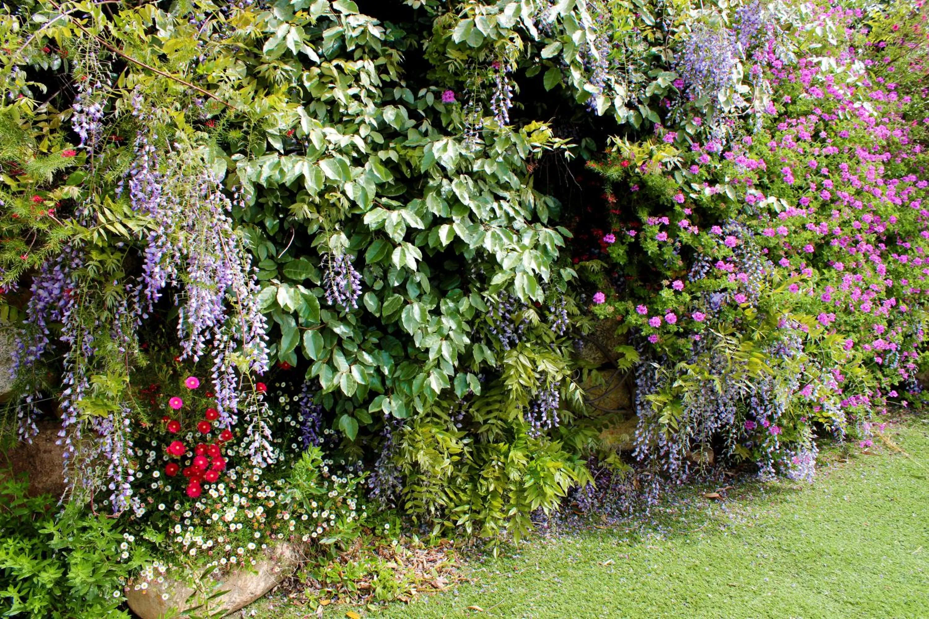 Garden view in Résidence Arco Plage