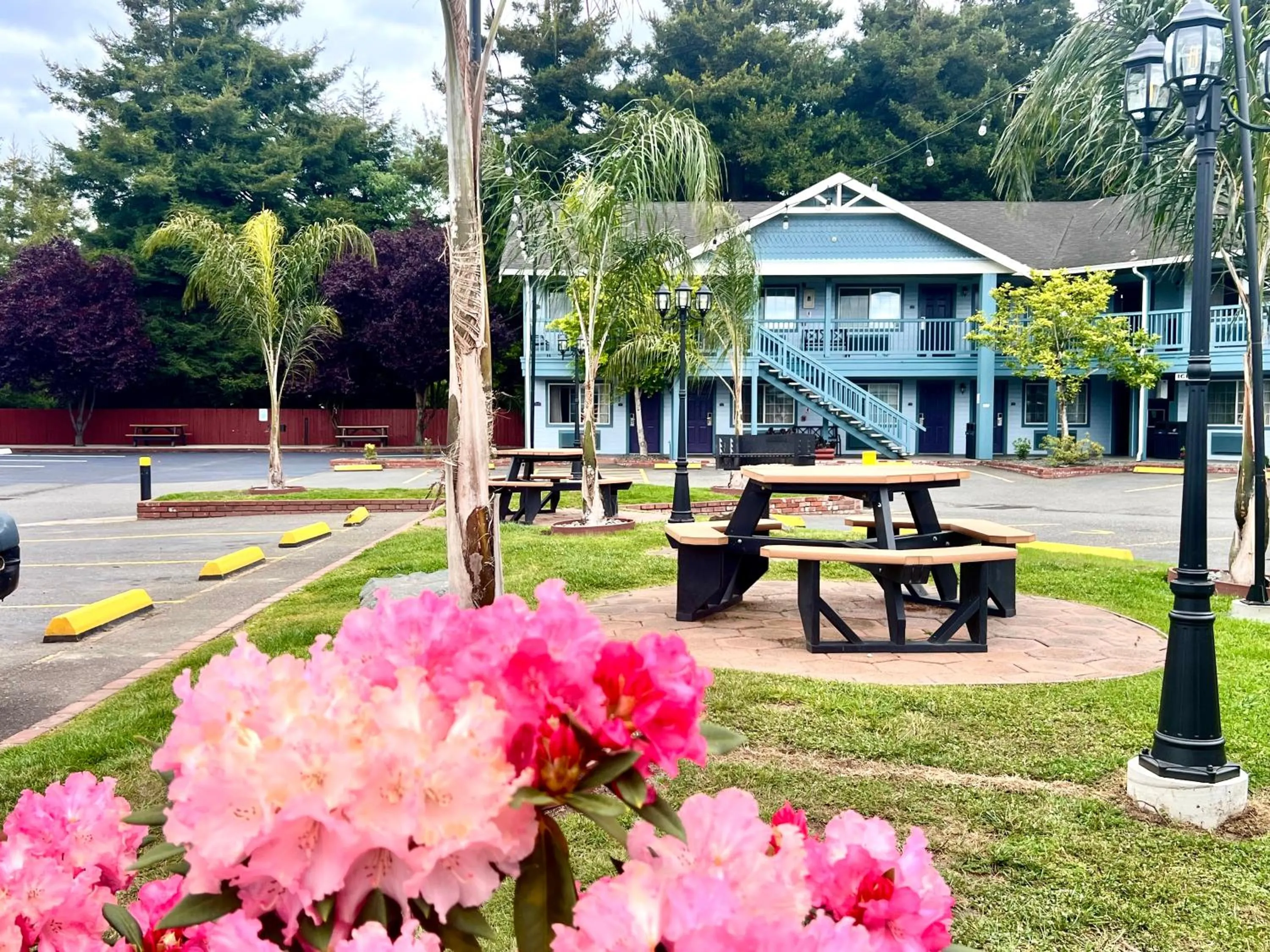 Garden in Best Western Country Inn