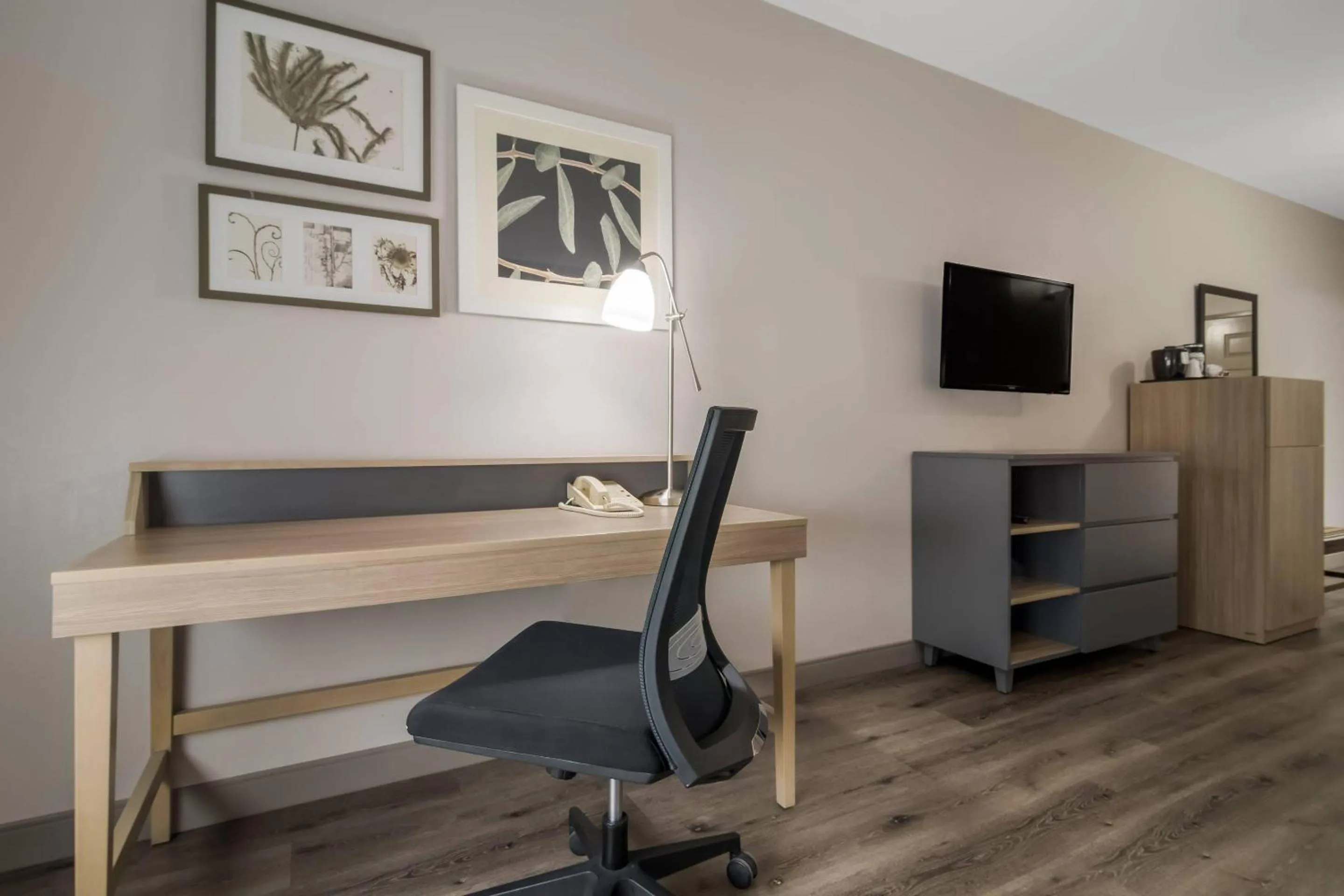 Bedroom in Country Inn & Suites by Radisson, Goldsboro, NC