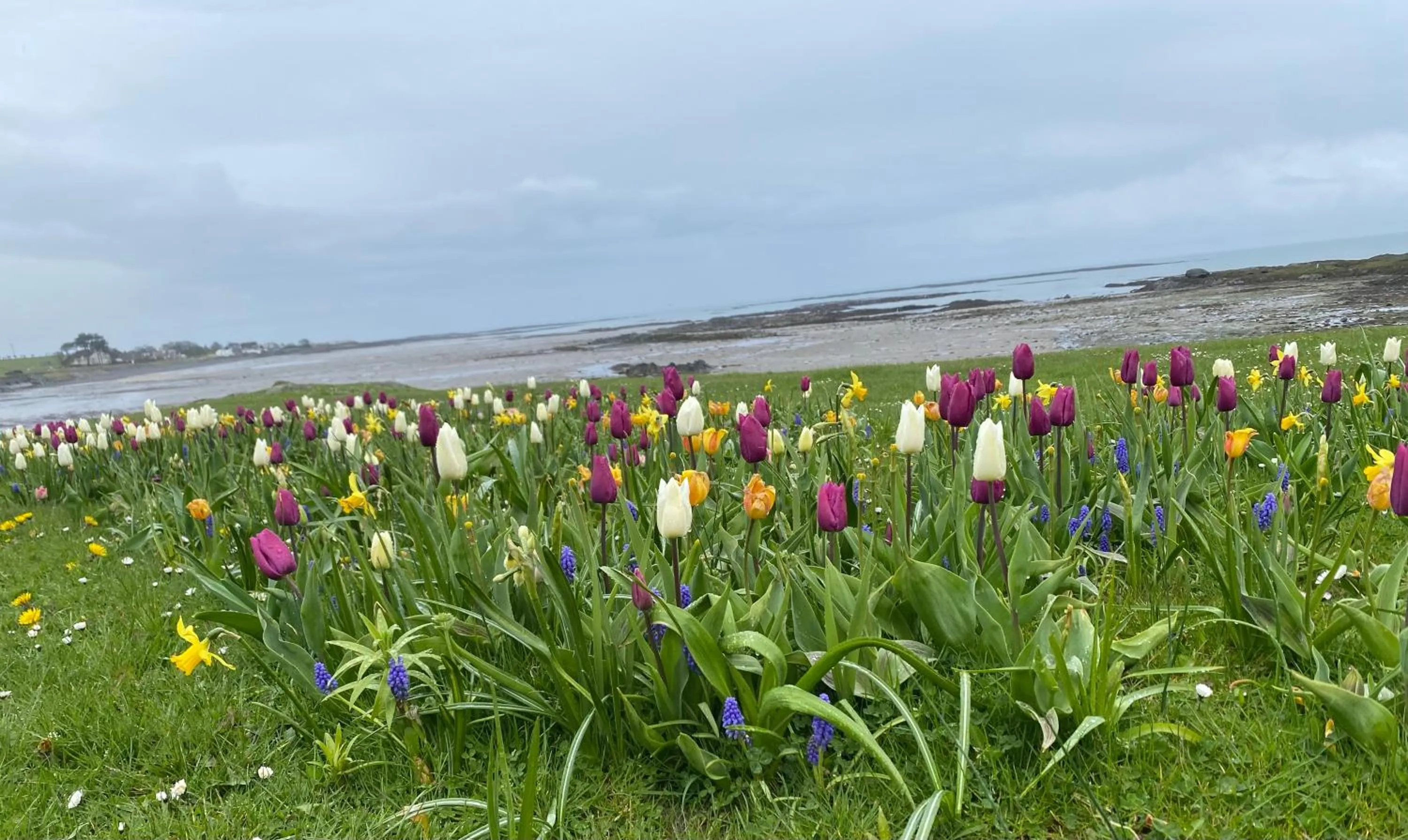 Spring in The Old Vicarage NI B&B