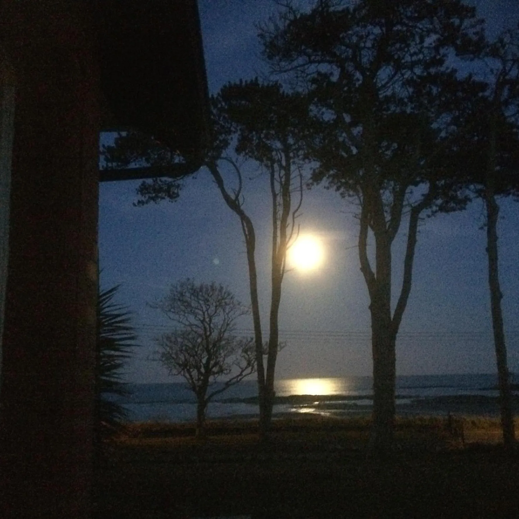 Natural landscape in The Old Vicarage NI B&B