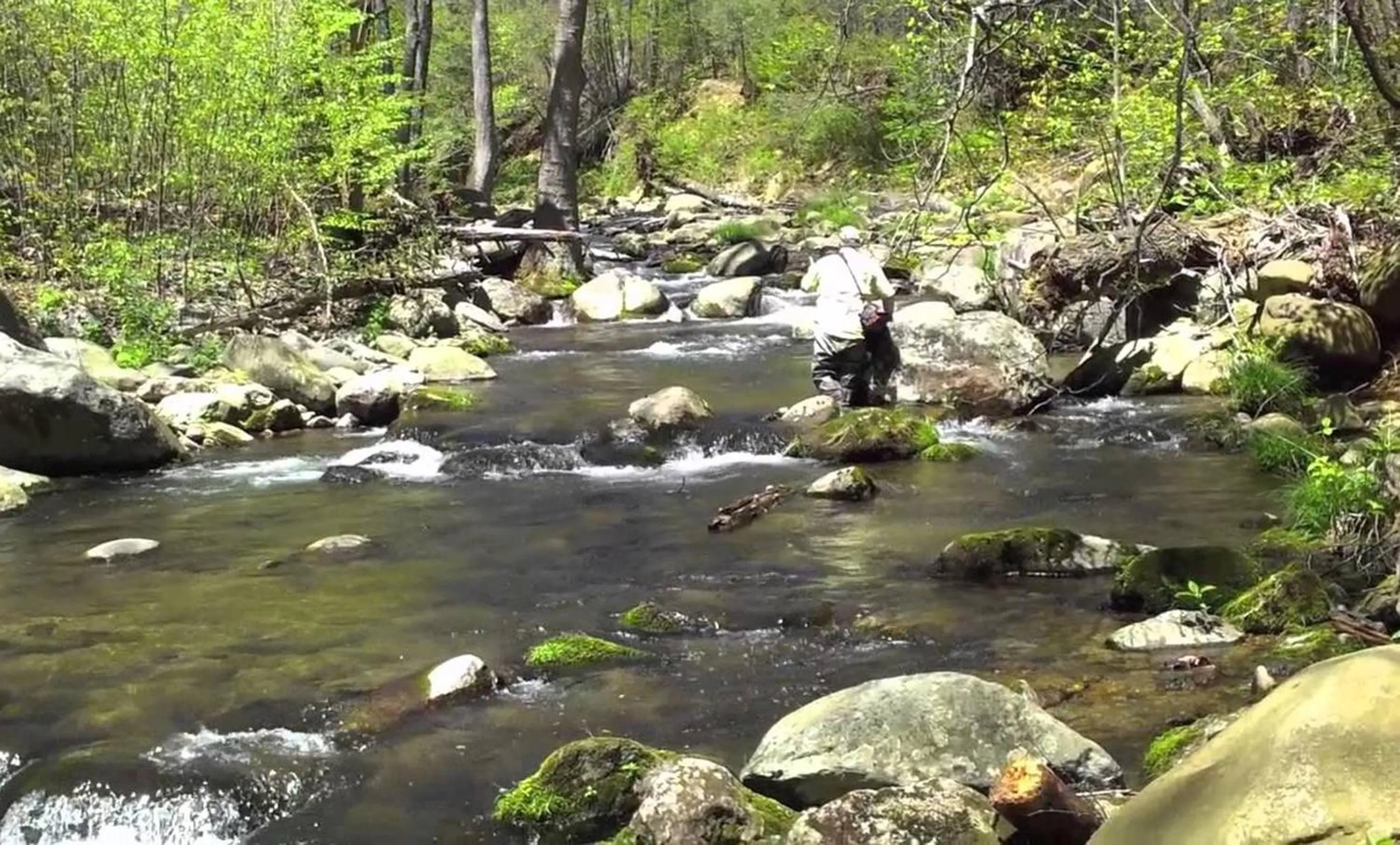Natural landscape in Graves Mountain Farm & Lodges