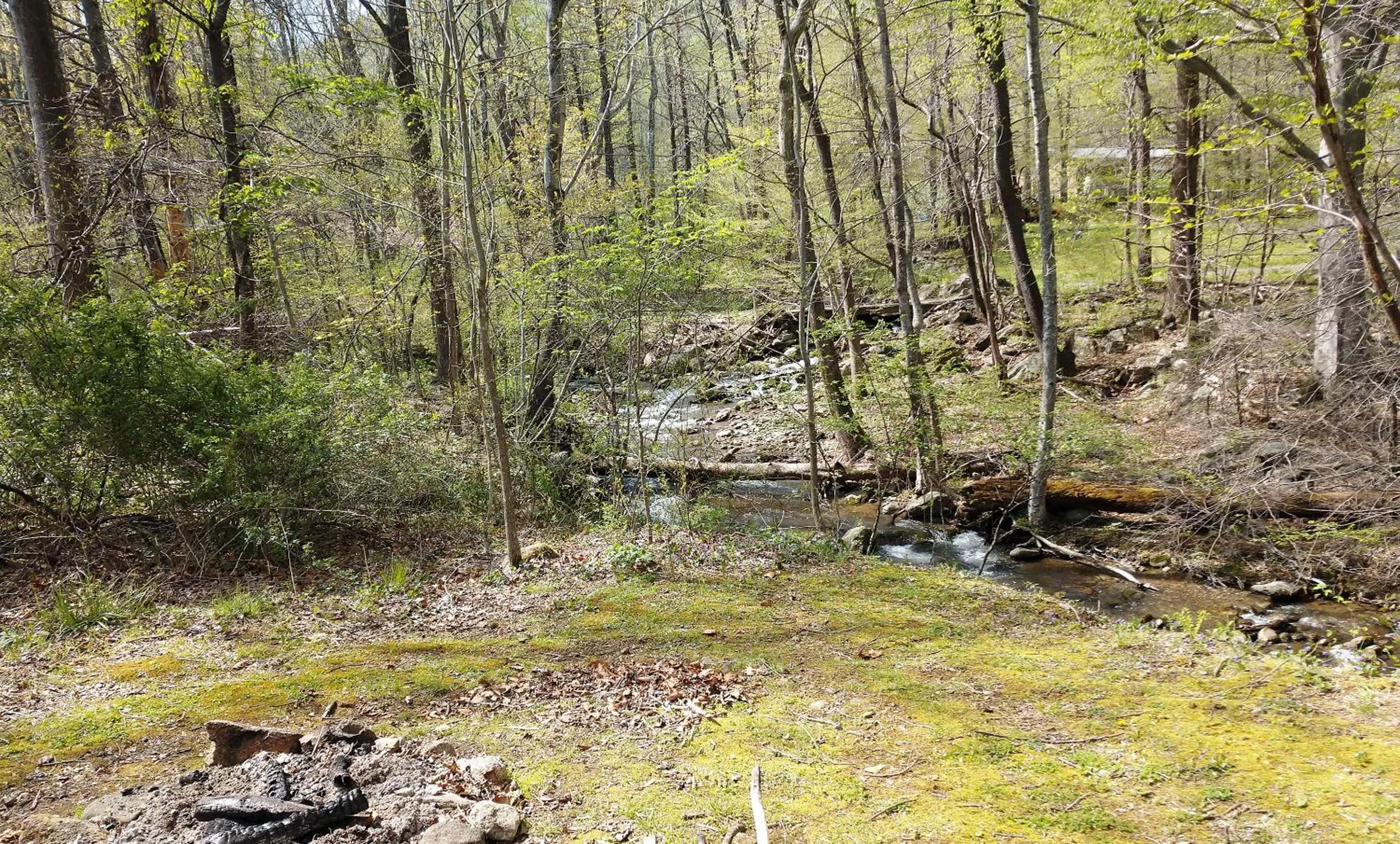 Natural landscape in Graves Mountain Farm & Lodges