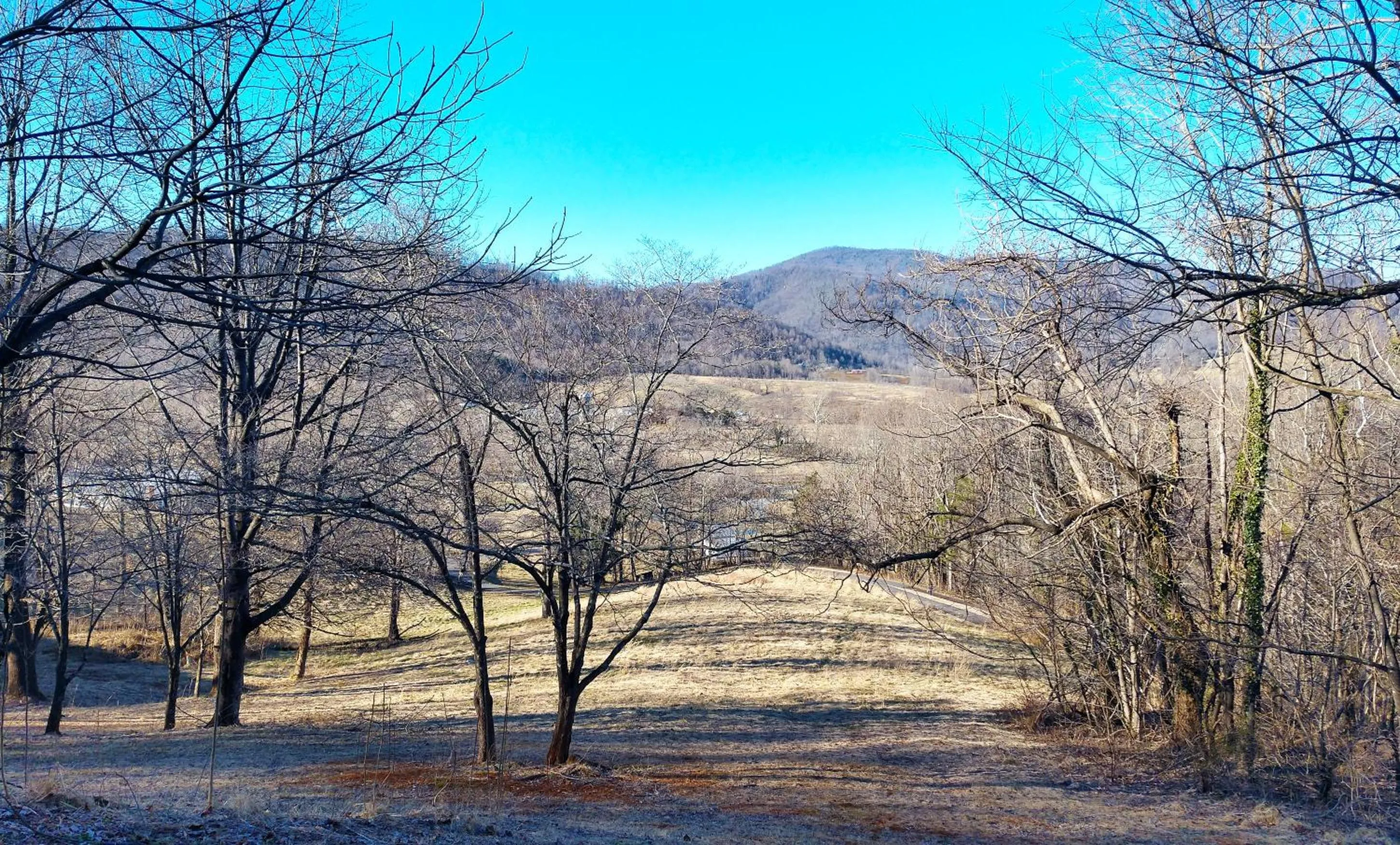 Natural landscape in Graves Mountain Farm & Lodges