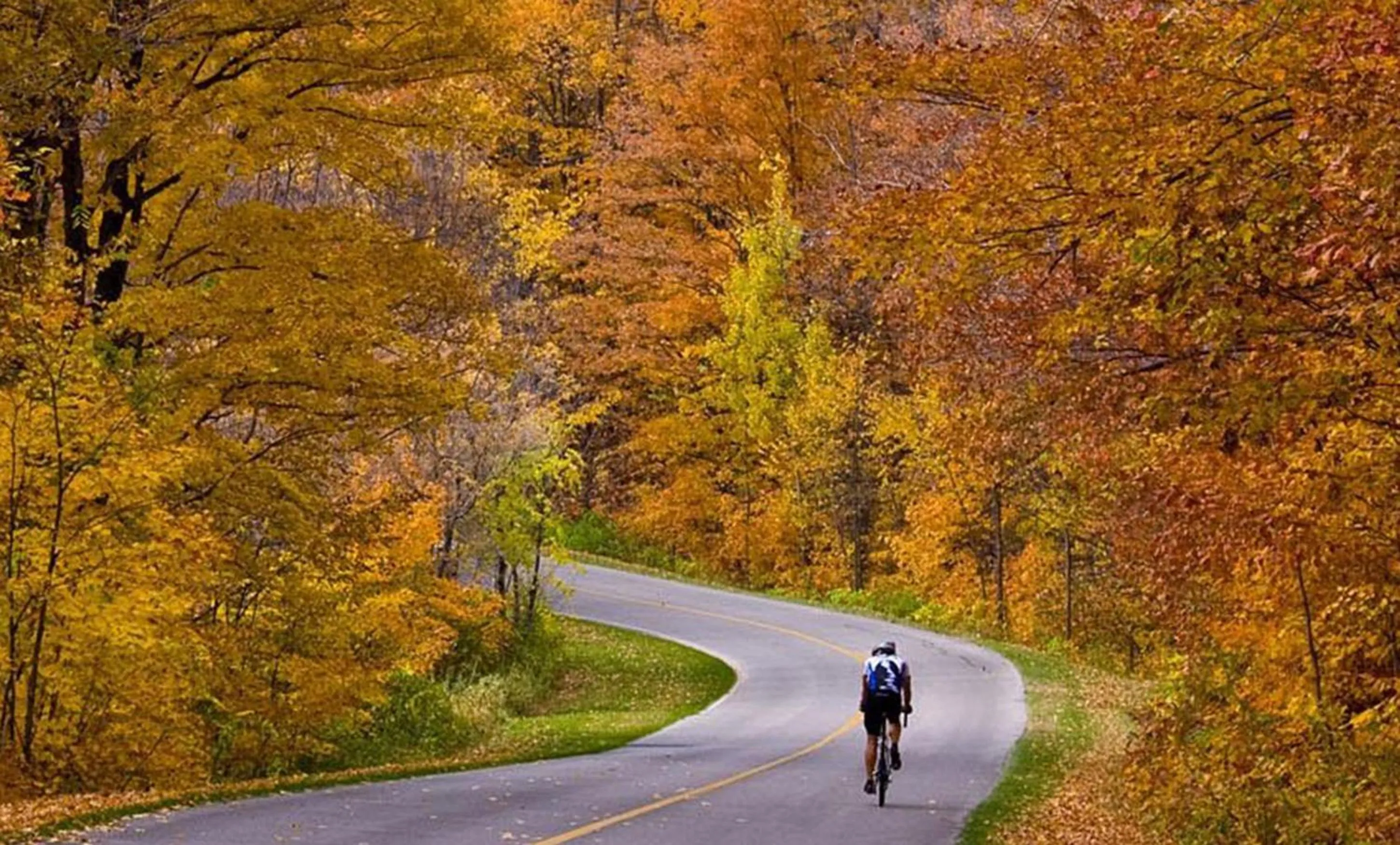Graves Mountain Farm & Lodges