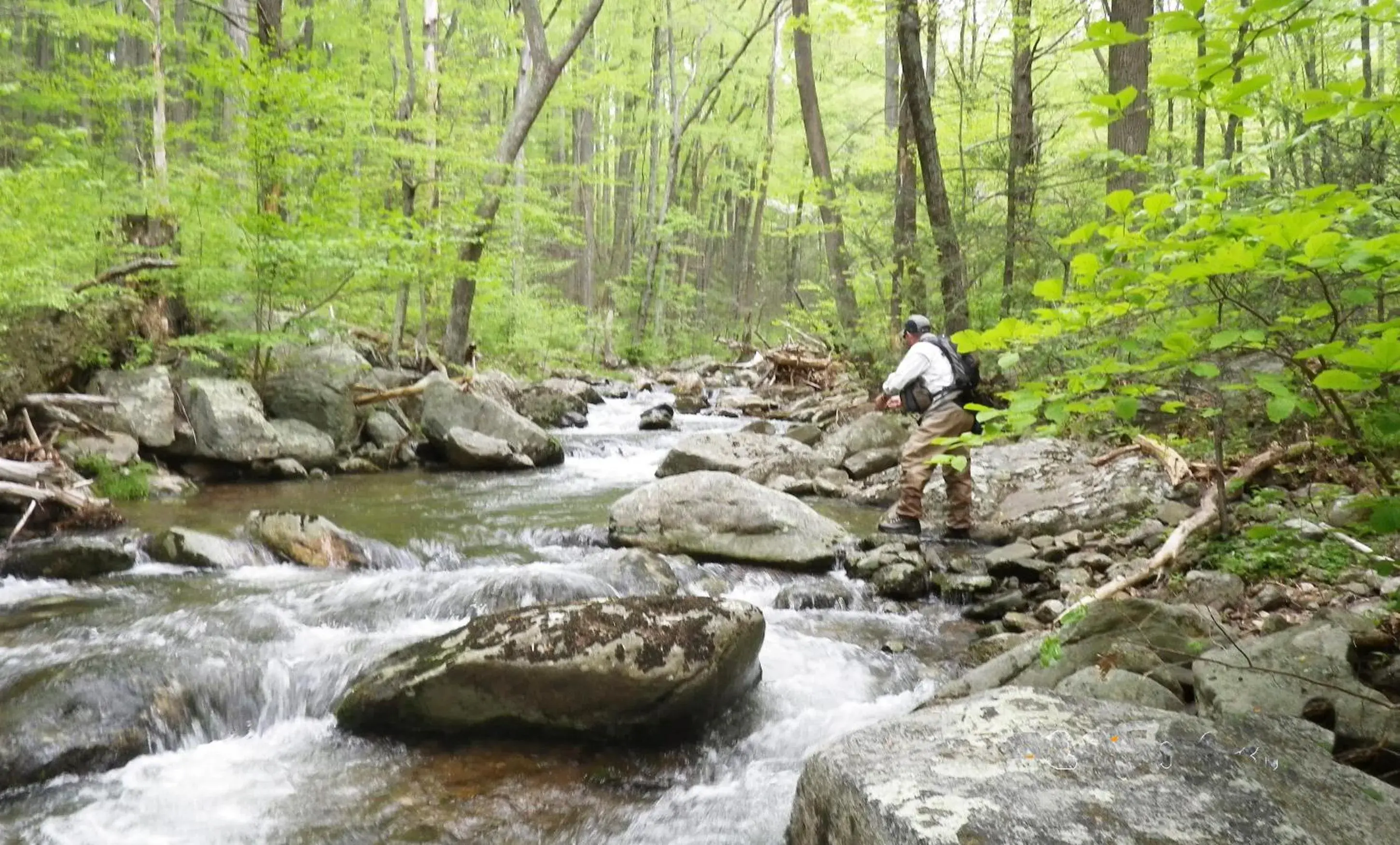 King Room in Poplar Lodge Motel in Graves Mountain Farm & Lodges King Room in Poplar Lodge Motel in Graves Mountain Farm & Lodges