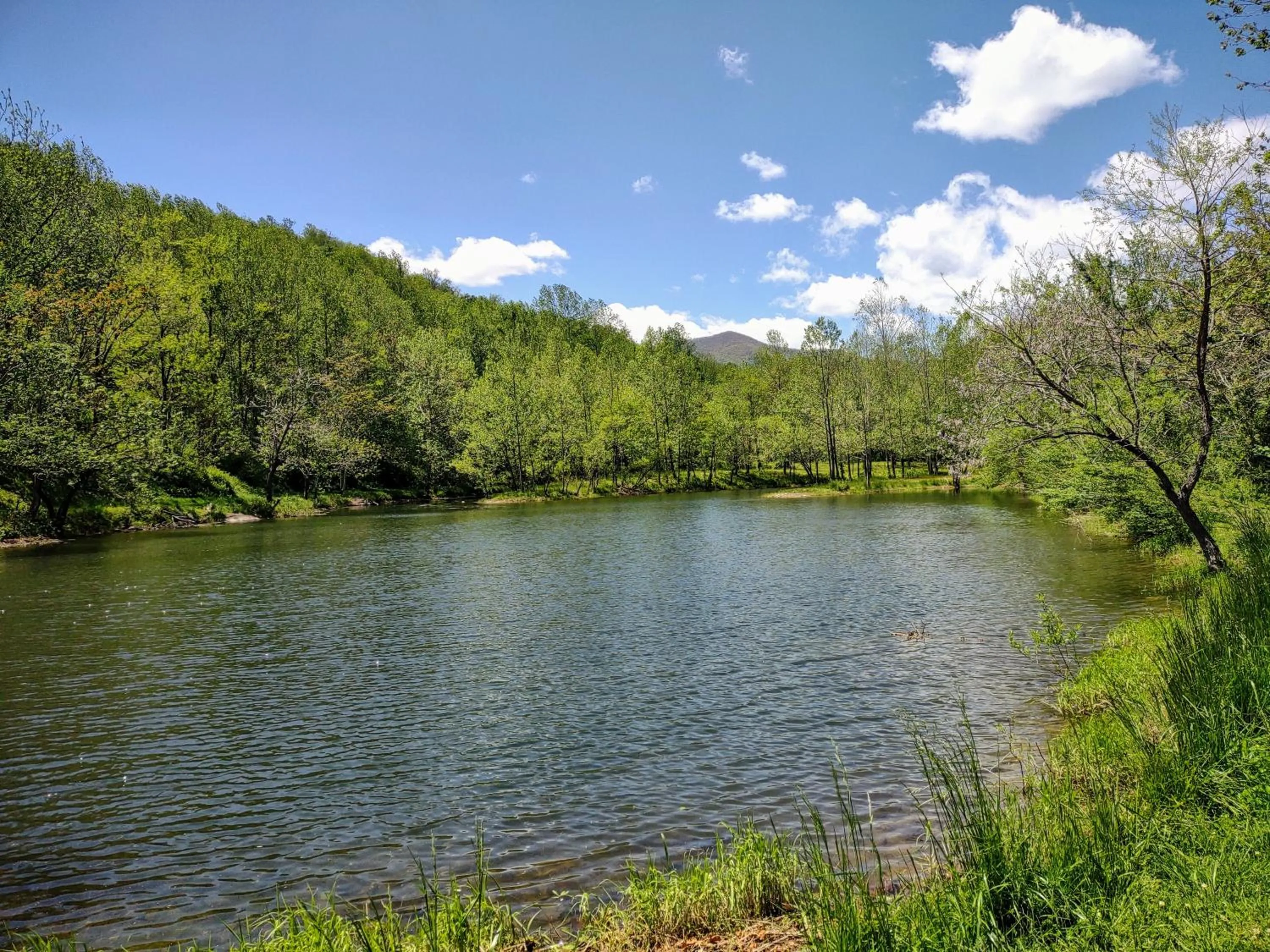 Graves Mountain Farm & Lodges