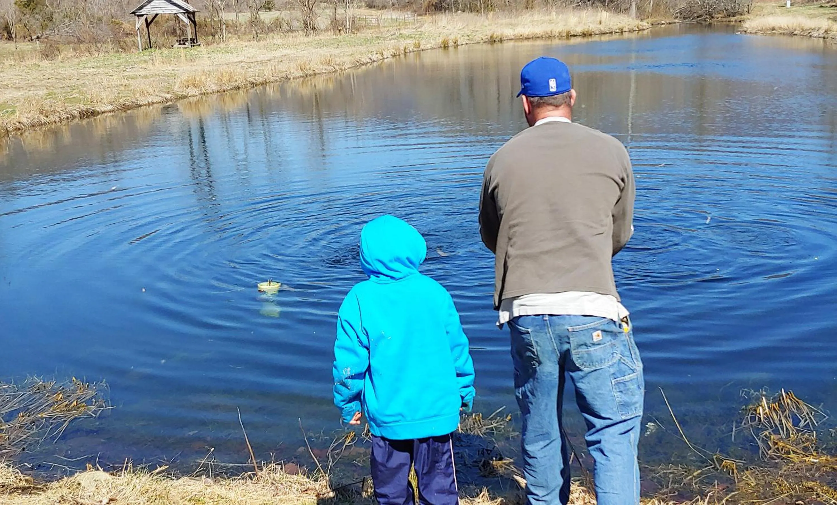 Graves Mountain Farm & Lodges