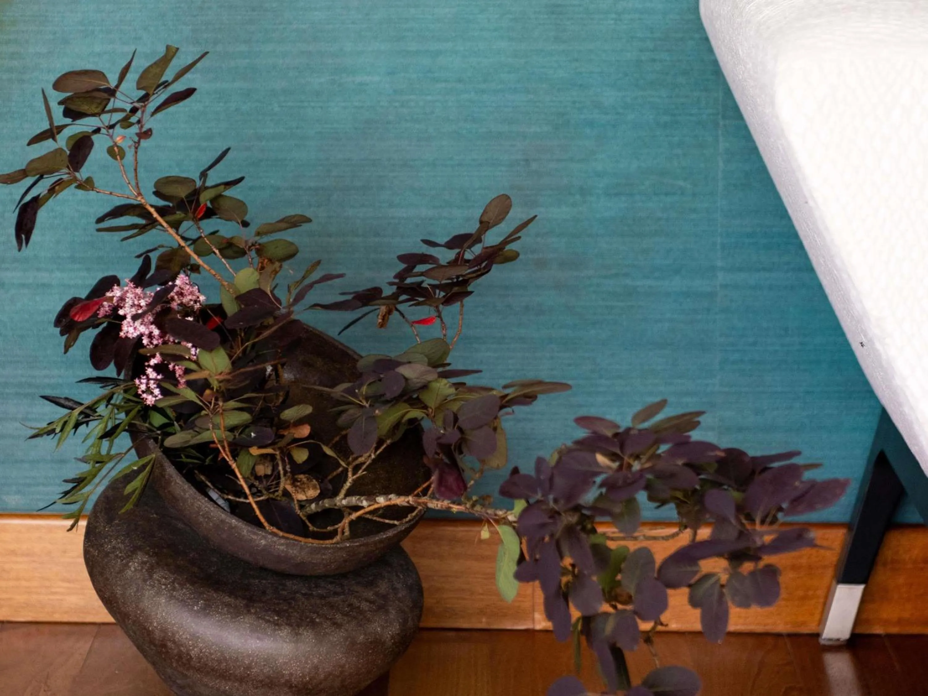 Photo of the whole room in Parc Beaumont Hôtel & Spa Pau - MGallery Collection