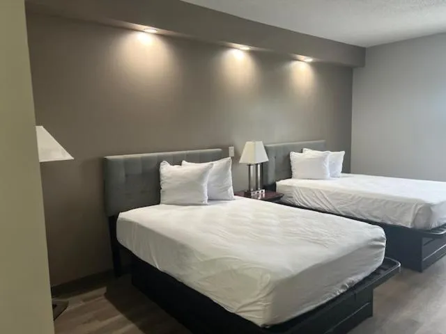 Bed in Baymont by Wyndham Lakeland