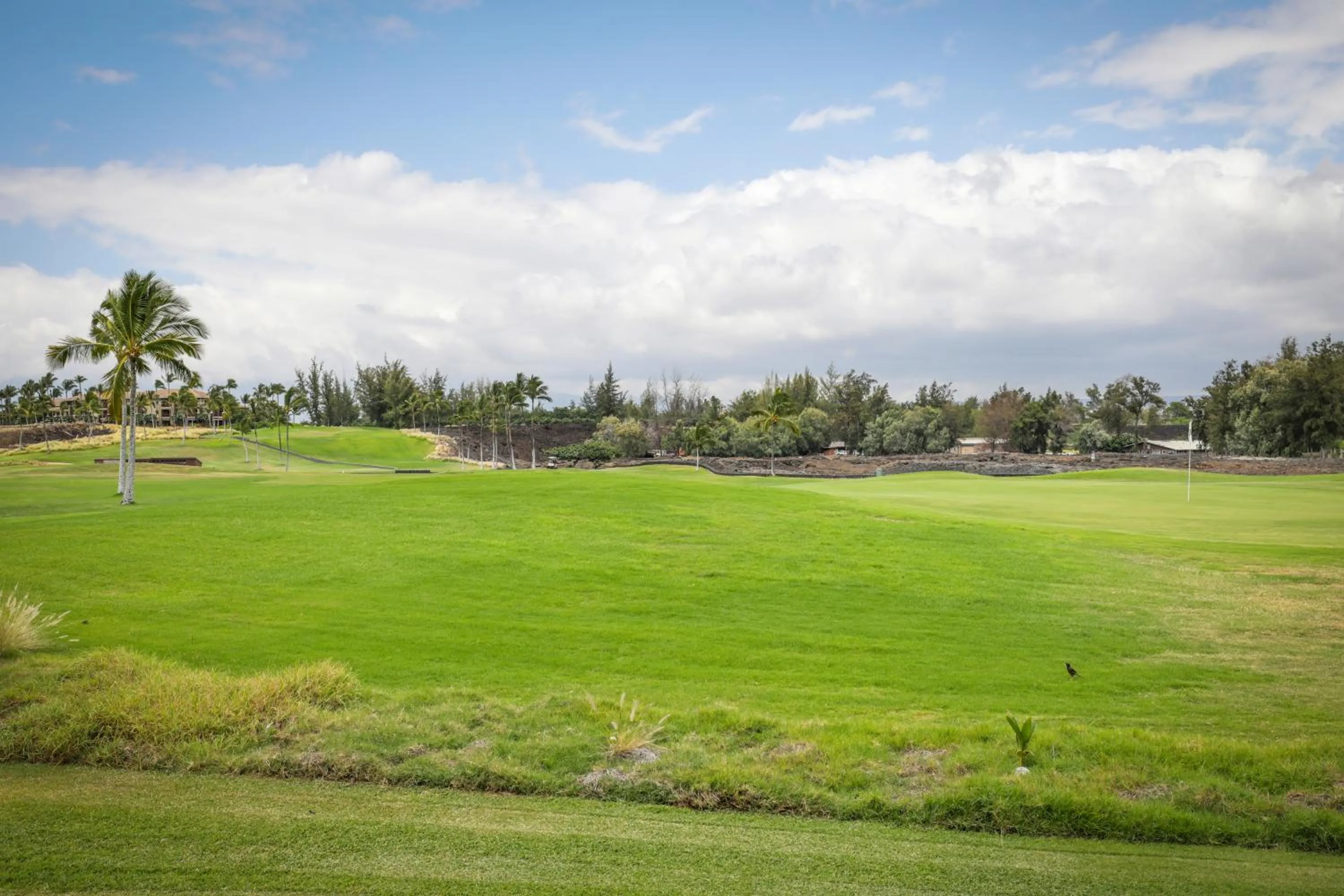 Golfcourse in Fairway Villas Waikoloa by OUTRIGGER